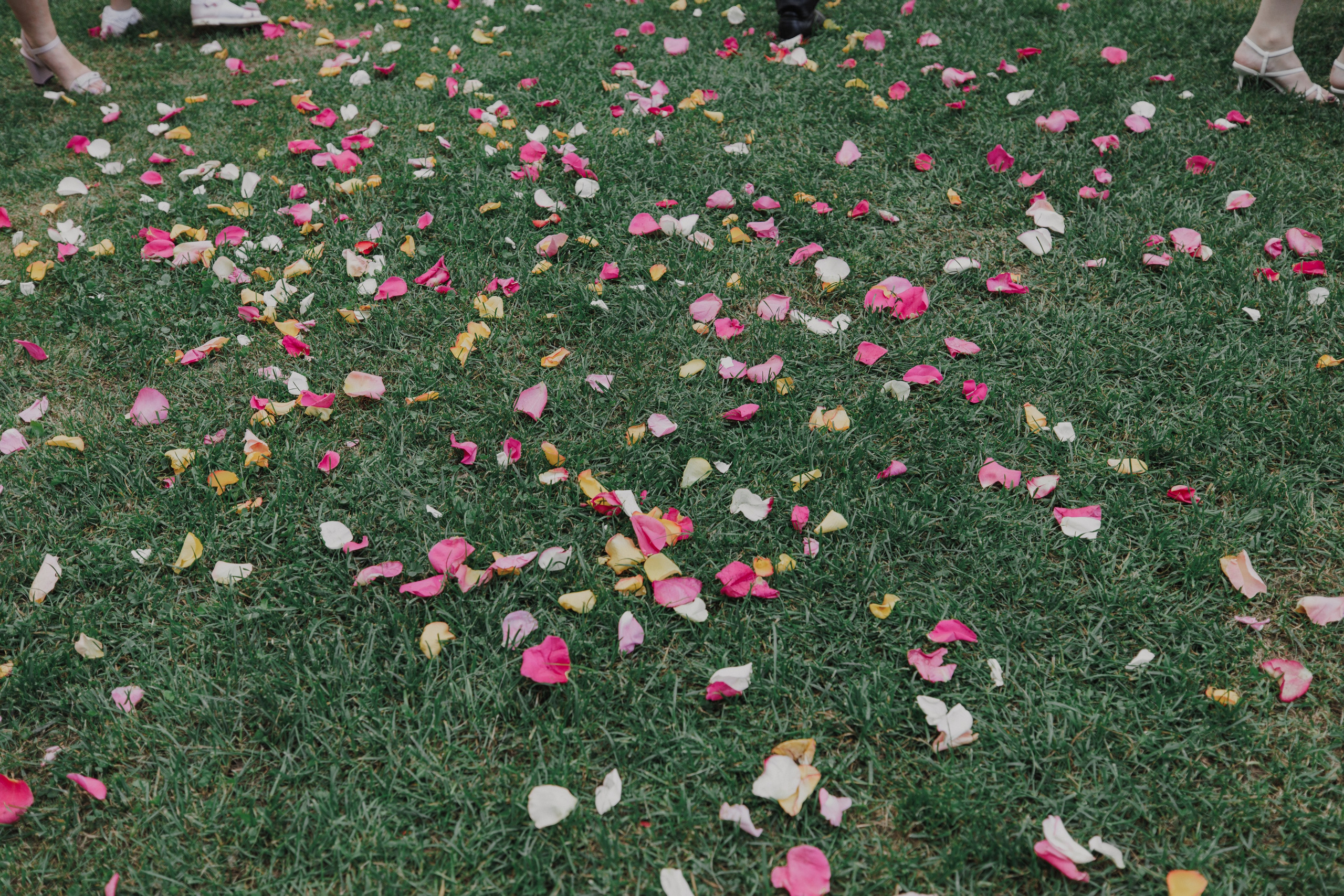 #2 Выездная регистрация. Фотограф Москва Шептаев Артём