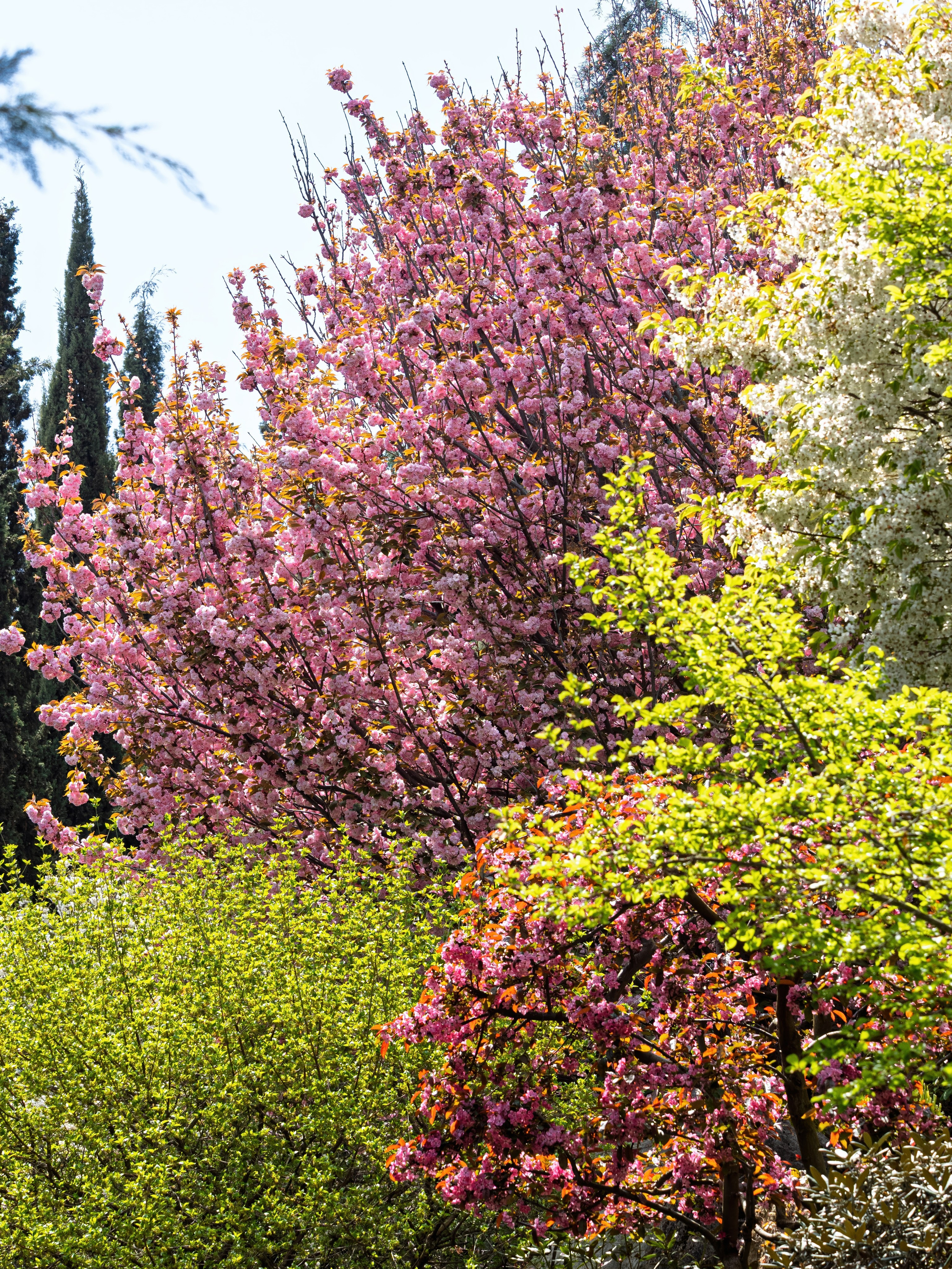 Крым, Утес, 2021 год. Фотограф Никифоров-Гордеев Сергей. Москва и МО