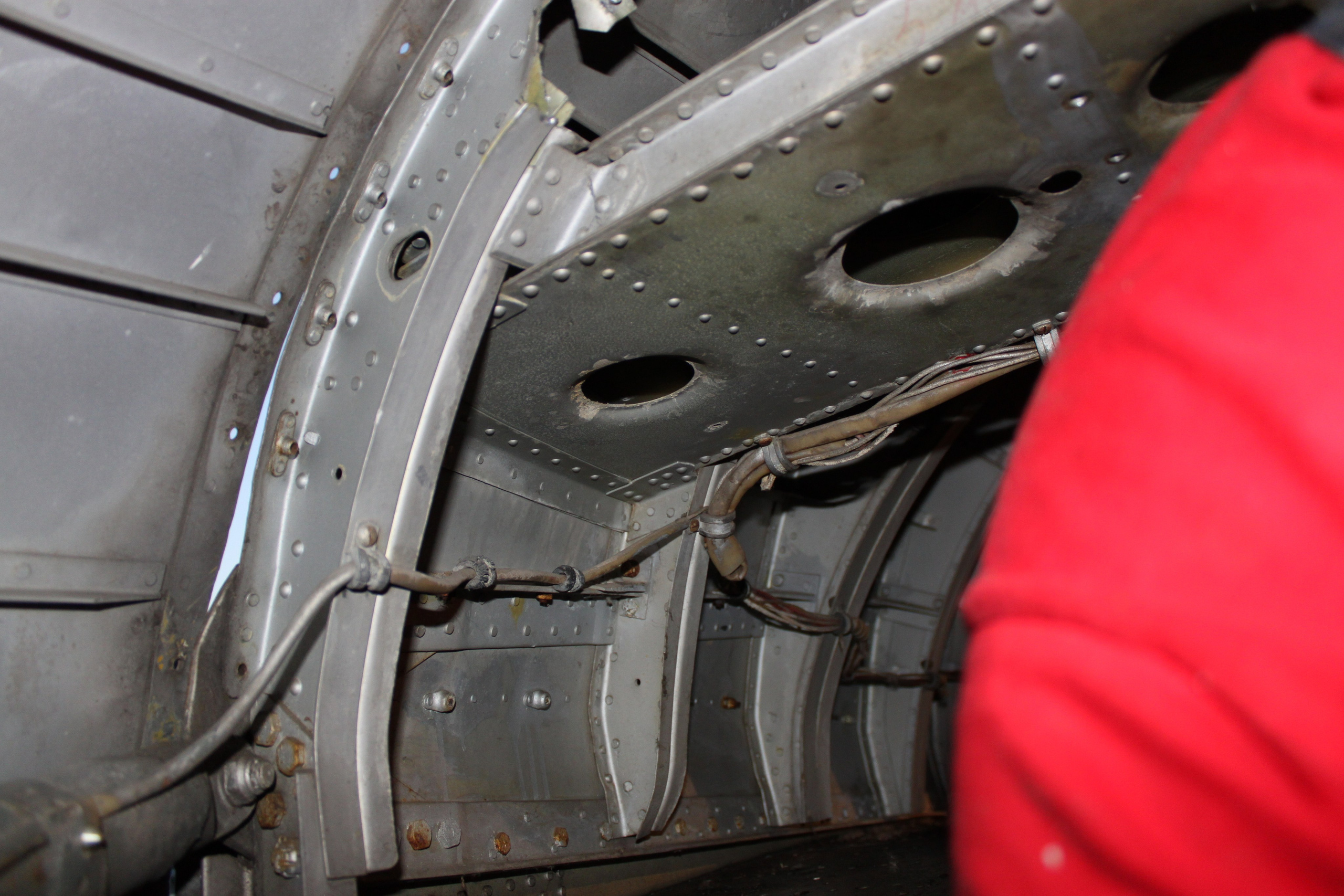 Ил-14Т «Голубая Мечта» работы в Тушино (2011 г.). Фотоальбом показывающий увлекательный мир авиации и мир медведей Андрея Иванова