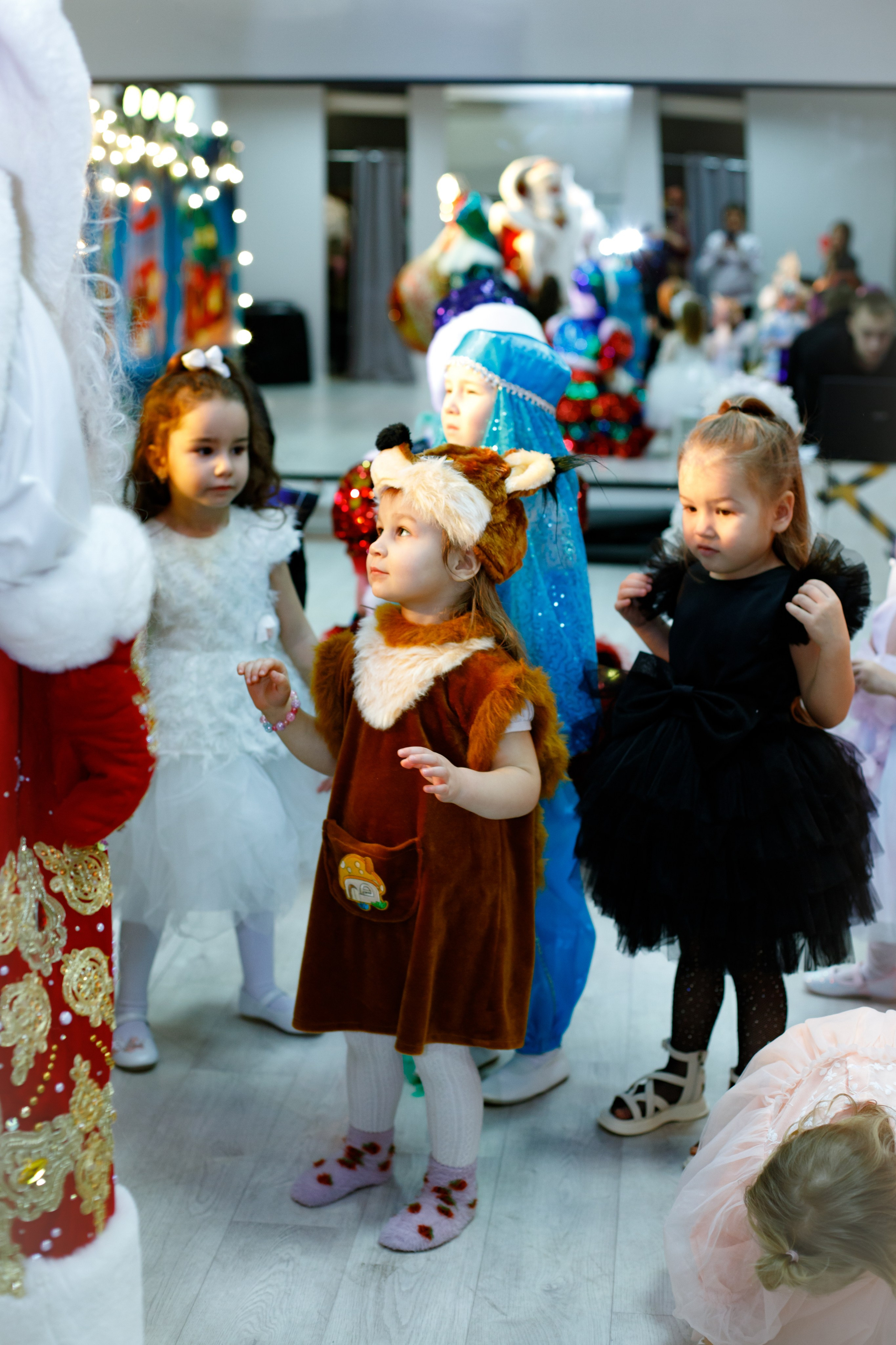 Happy new year. Photokarish