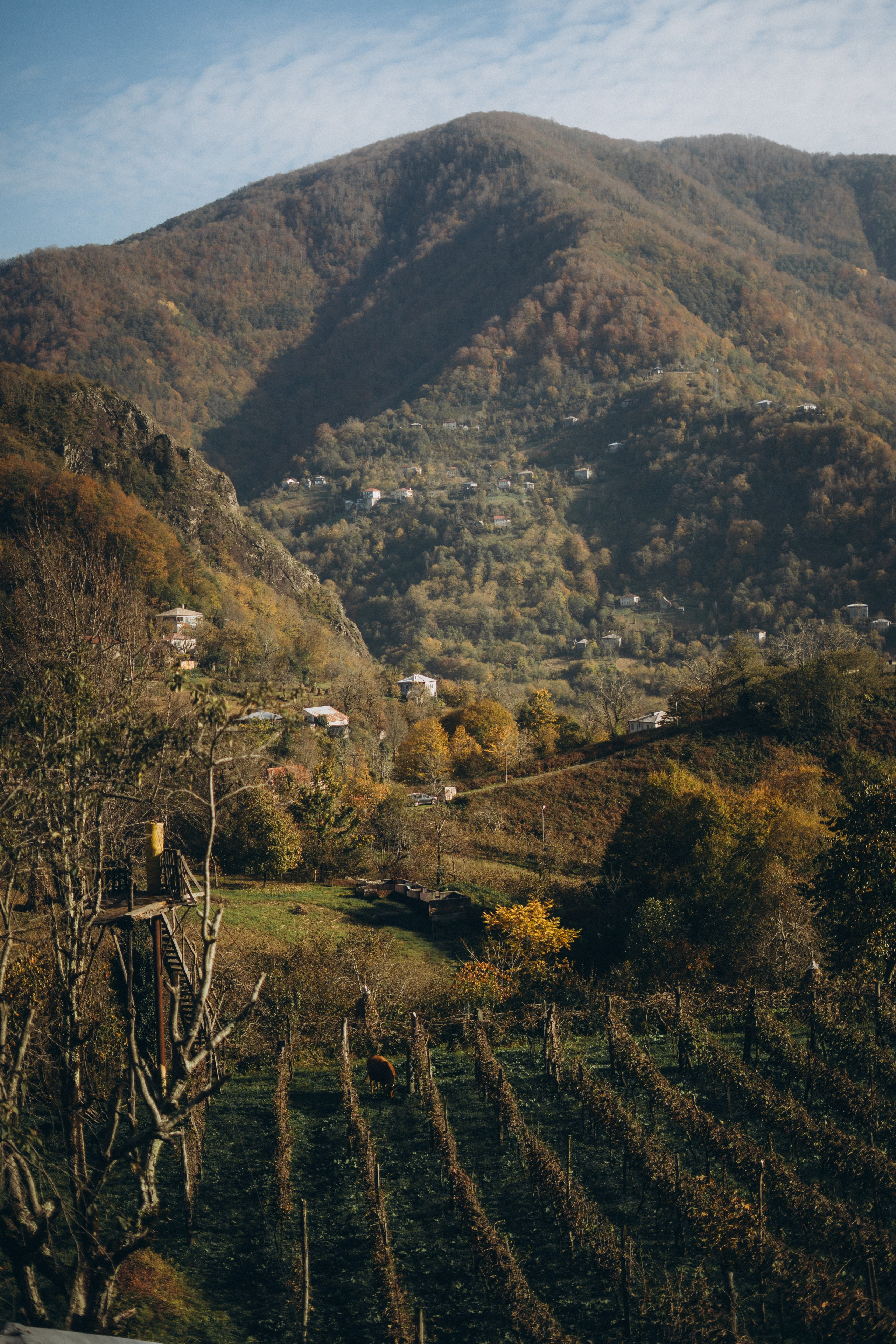 28. Фотограф Батуми | Ксения Кинасова