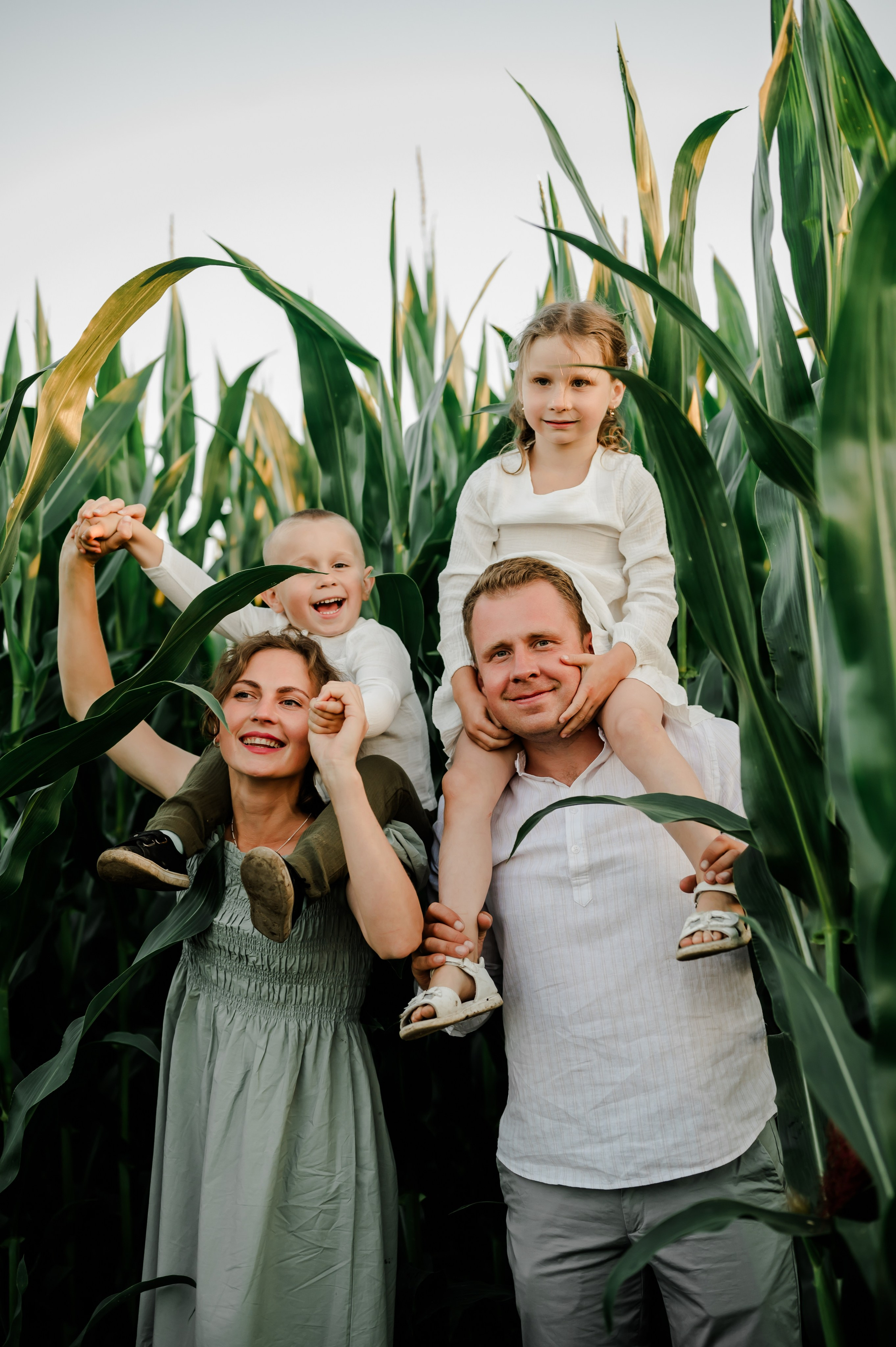 Кукуруза+сено, семейная фотосессия. Свадебный и семейный фотограф Евгения Кононова