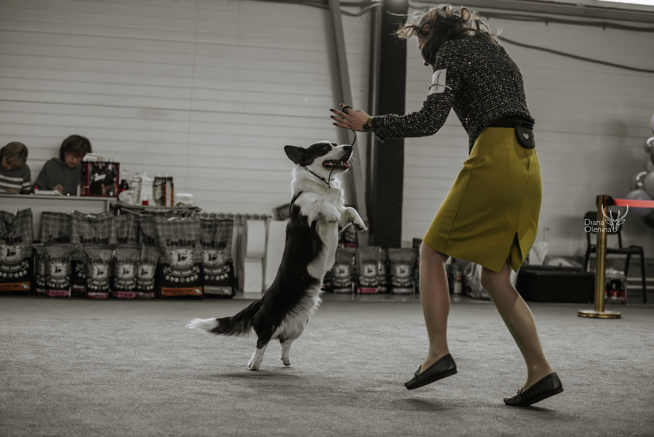 С выставок. Фотограф Диана Оленина Красноярск / Братск