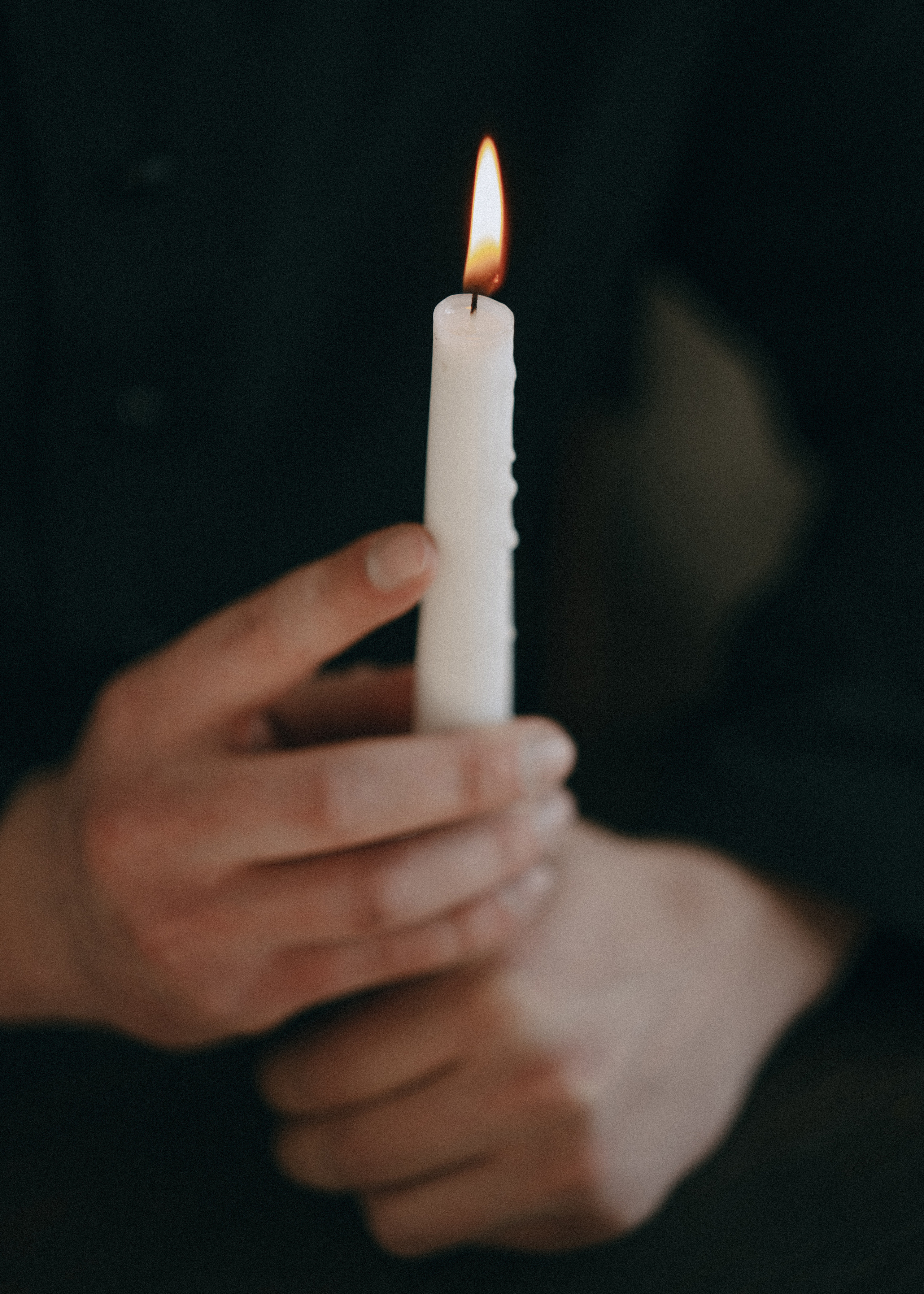 The Young Pope. Свадебный фотограф Анжелика Сариева