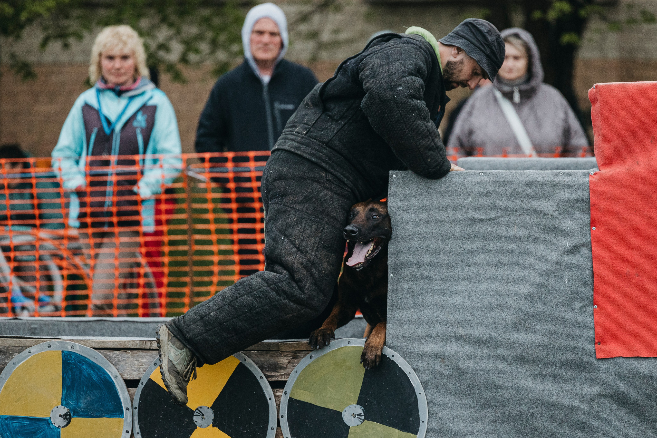 26.05.25 г. Пушкин квалификационные соревнования. Фотограф-анималист Анна Маринич