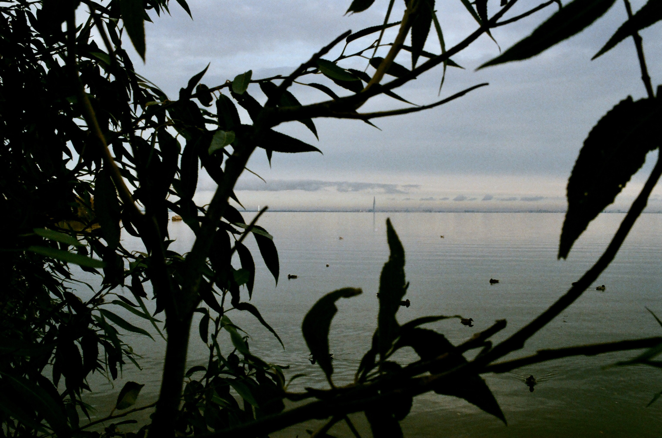 Film. Ruslan UI Dev Page