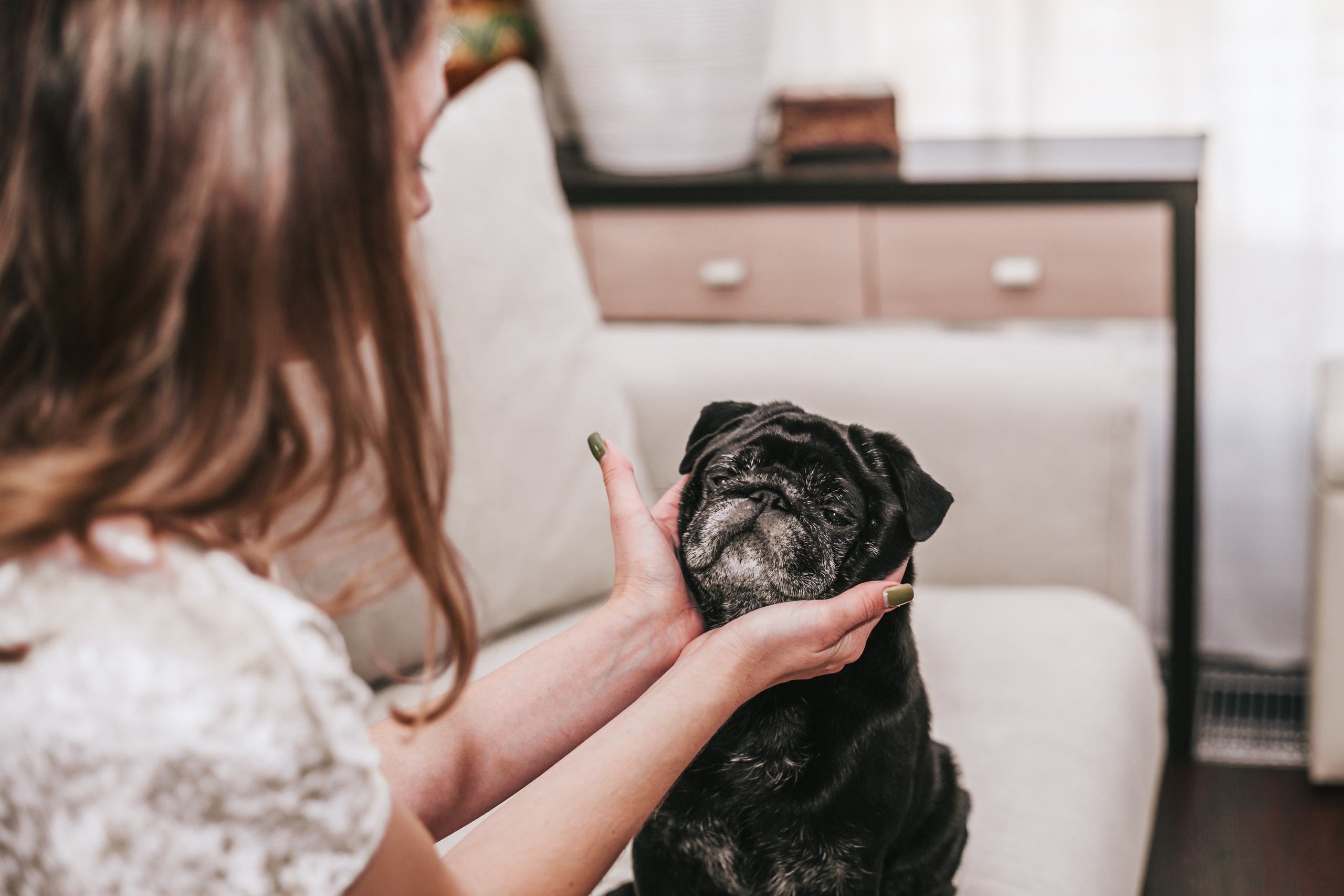 Домашняя фотосессия Оли и двух ее мопсов. Фотограф-анималист Татьяна Степанова