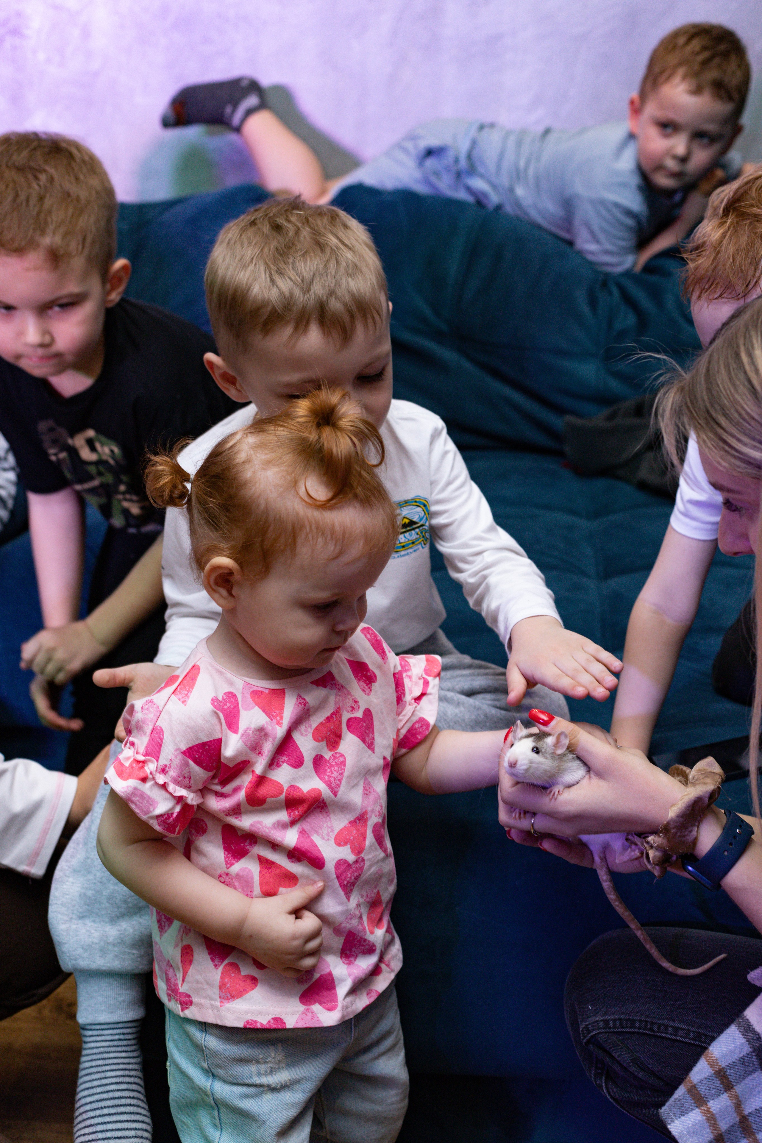 ZAHAR 5 YEAR / BIRTHDAY. Photokarish