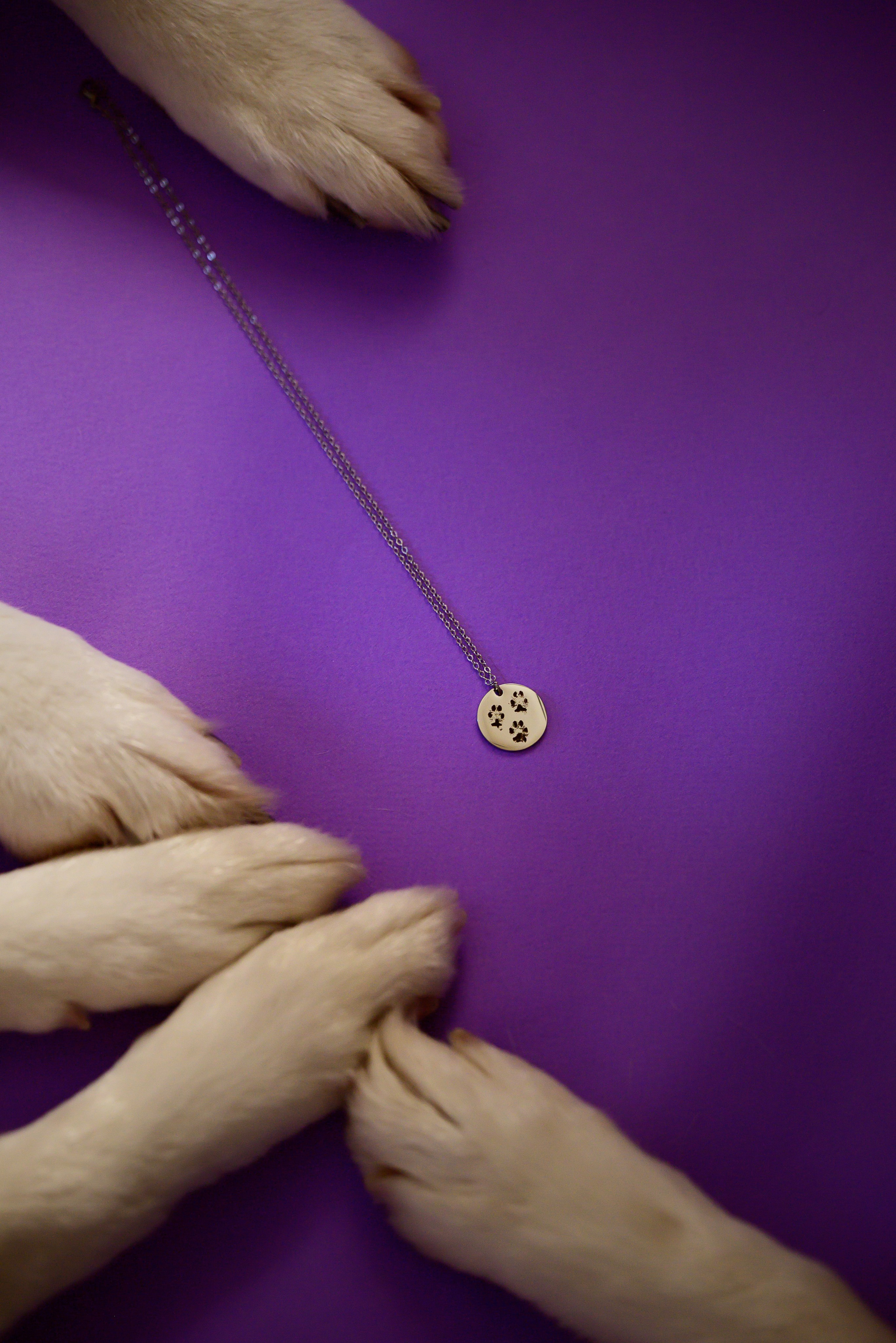 Geronimo.dogs. Мила Астахова