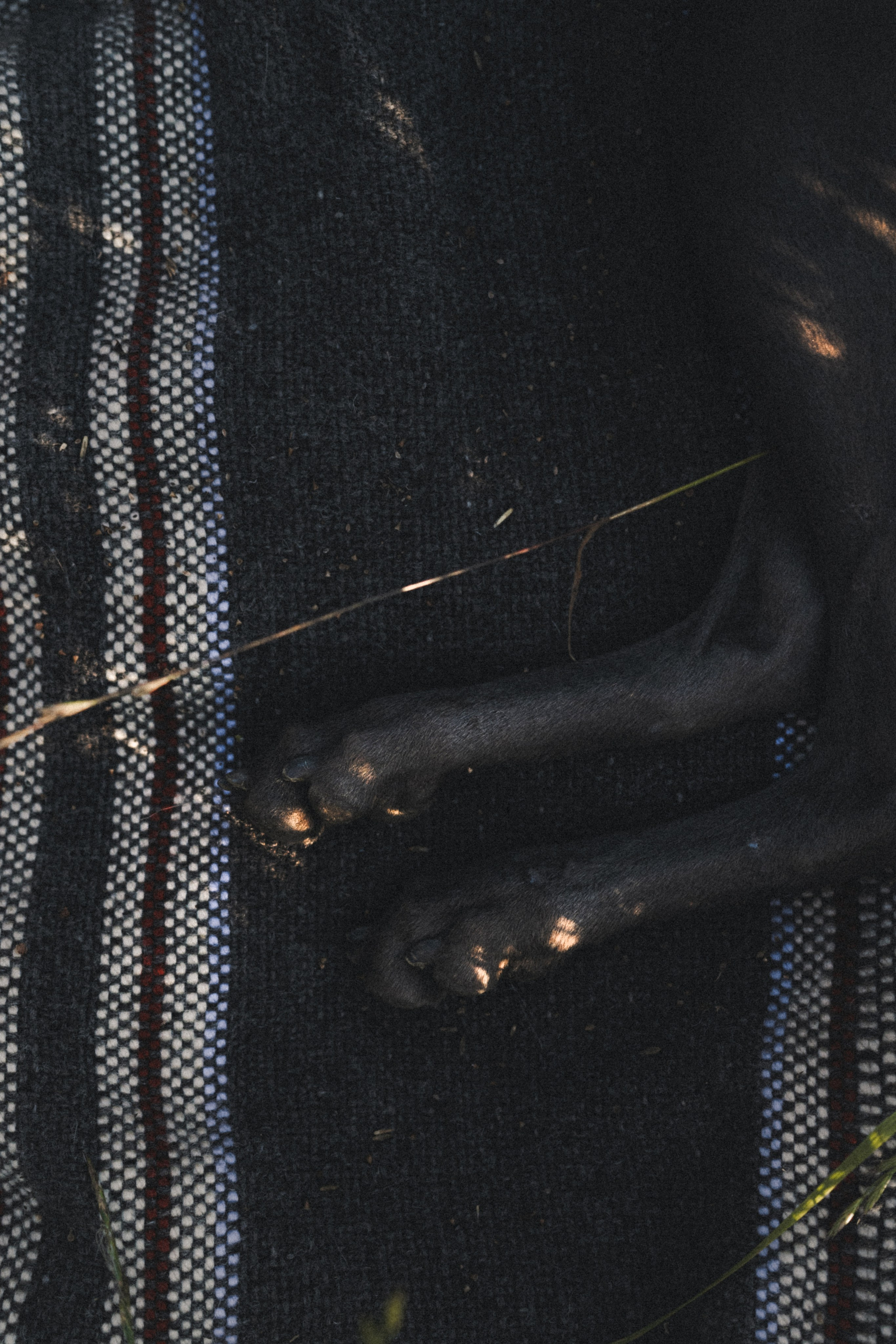 Фотограф Илья К. в Москве