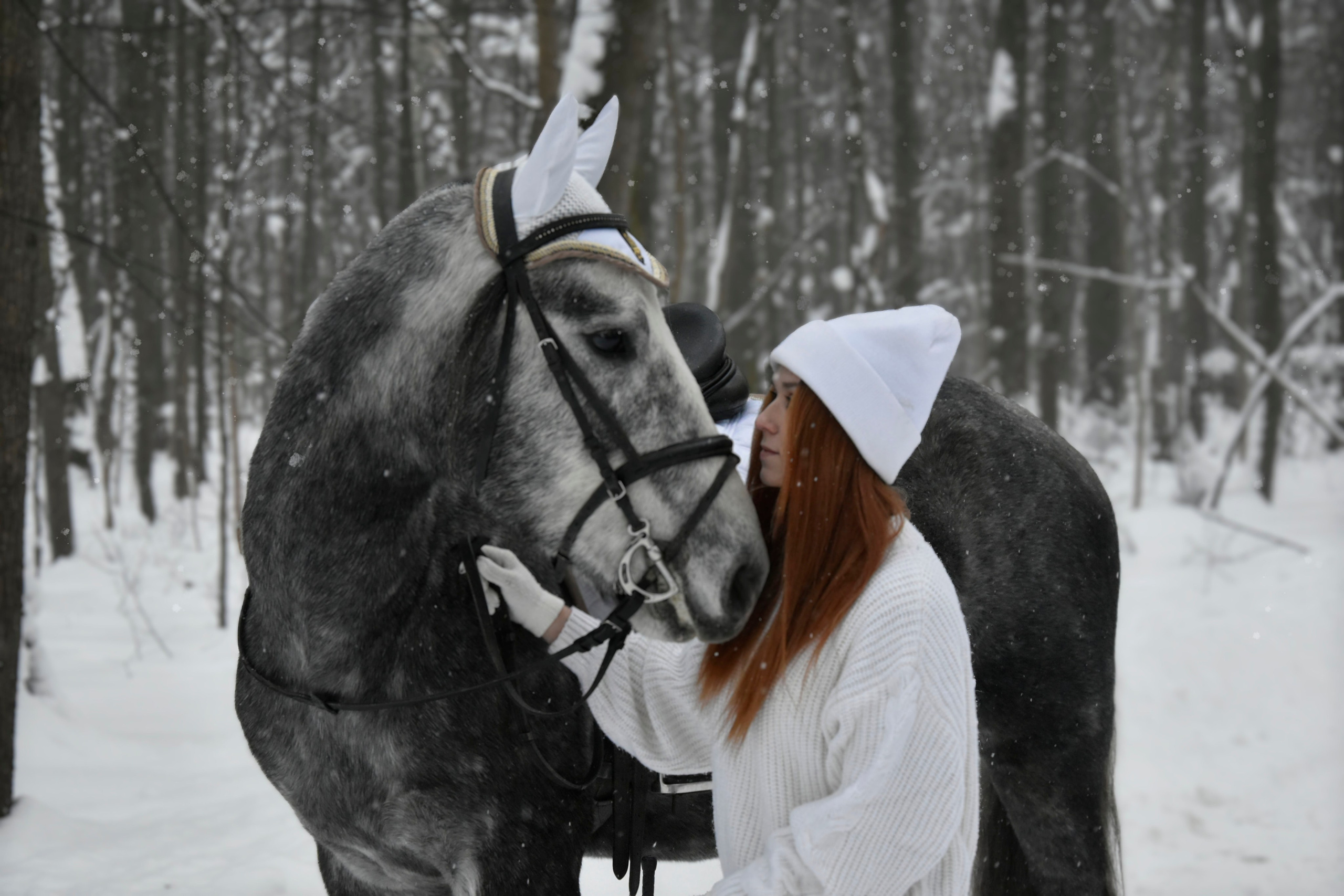 Владислава и Хантер. Фотосессия. Конный фотограф Москва