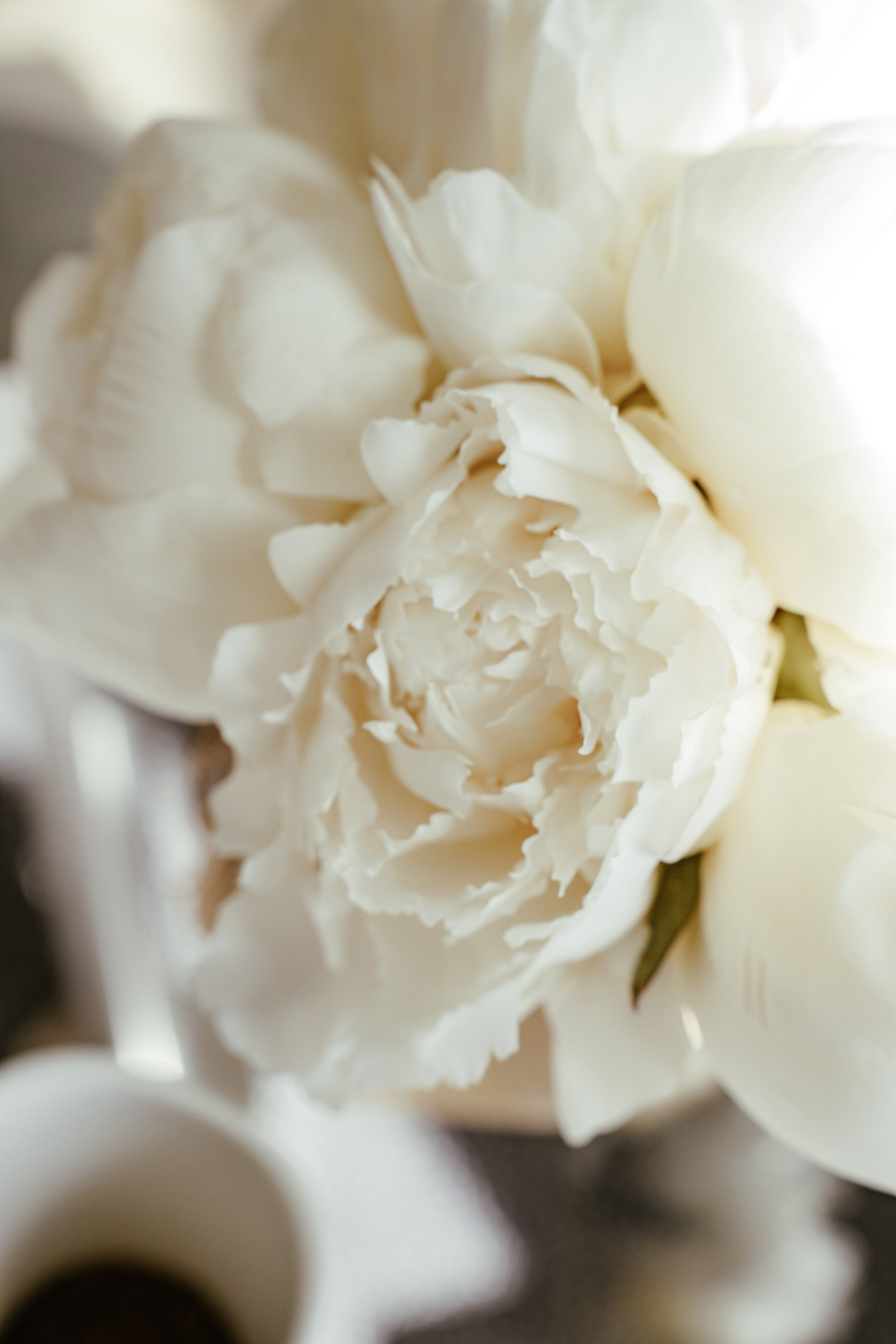 24.05.2024. Фотограф в Екатеринбурге