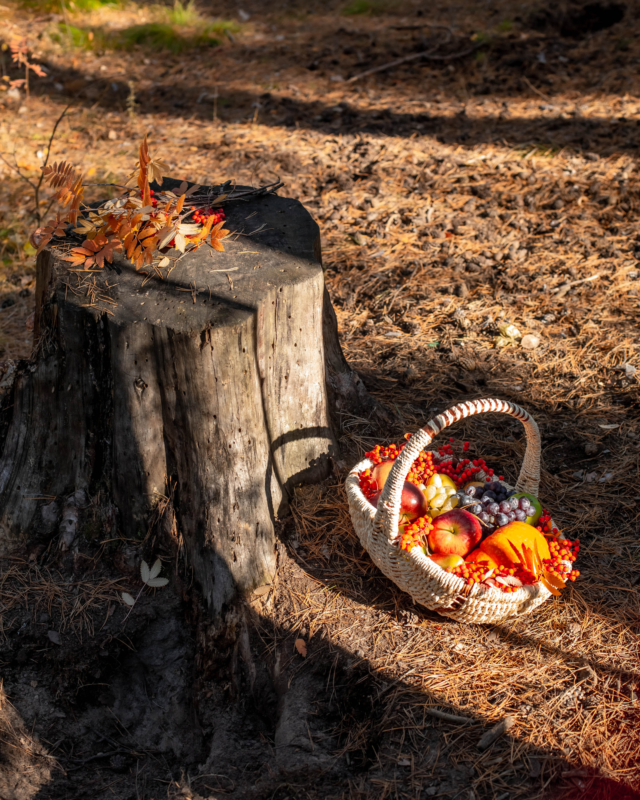 Семейная фотосъёмка. Фотограф в Барнауле Татьяна Чурикова