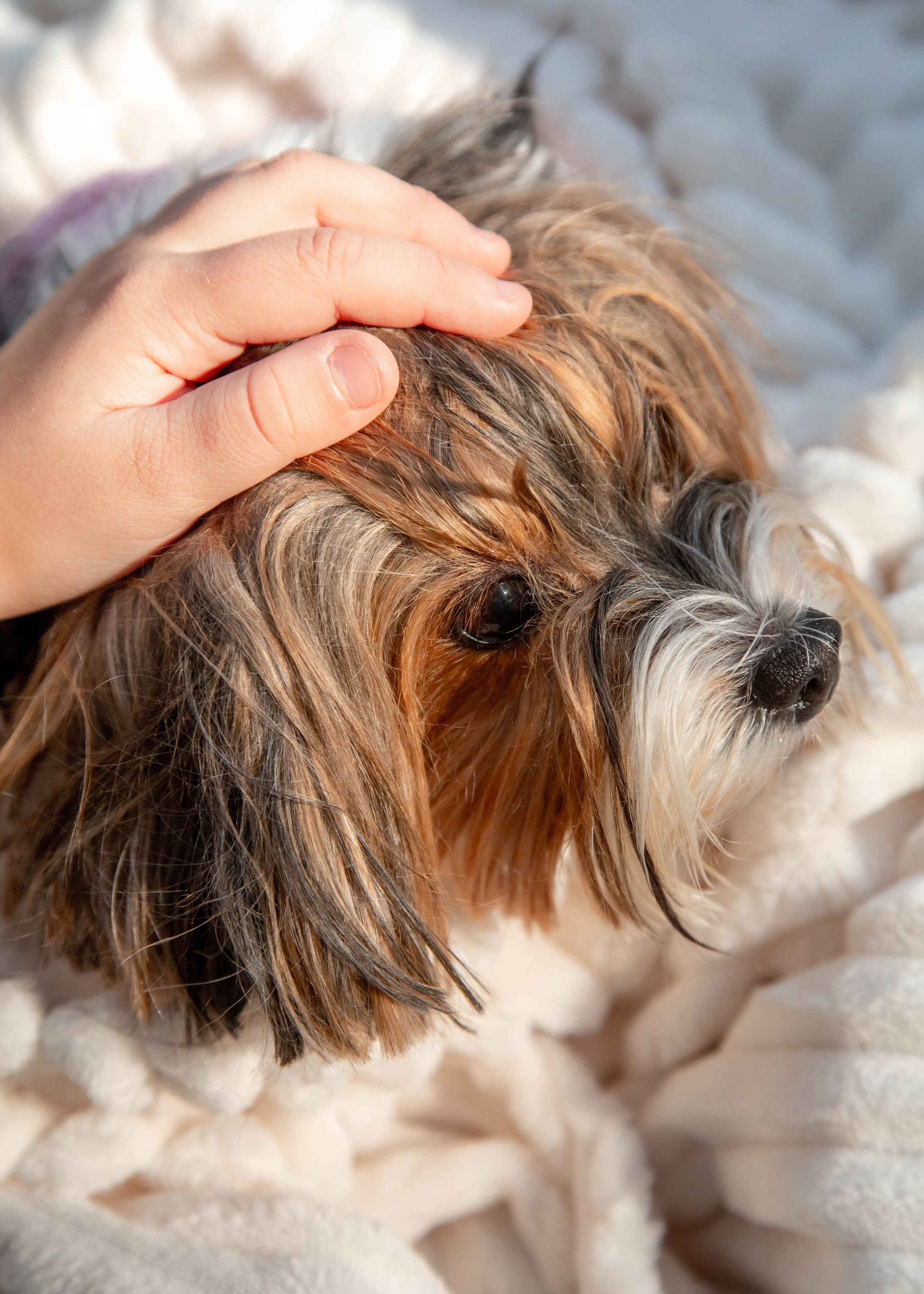 Семейная фотосъёмка. Фотограф в Барнауле Татьяна Чурикова
