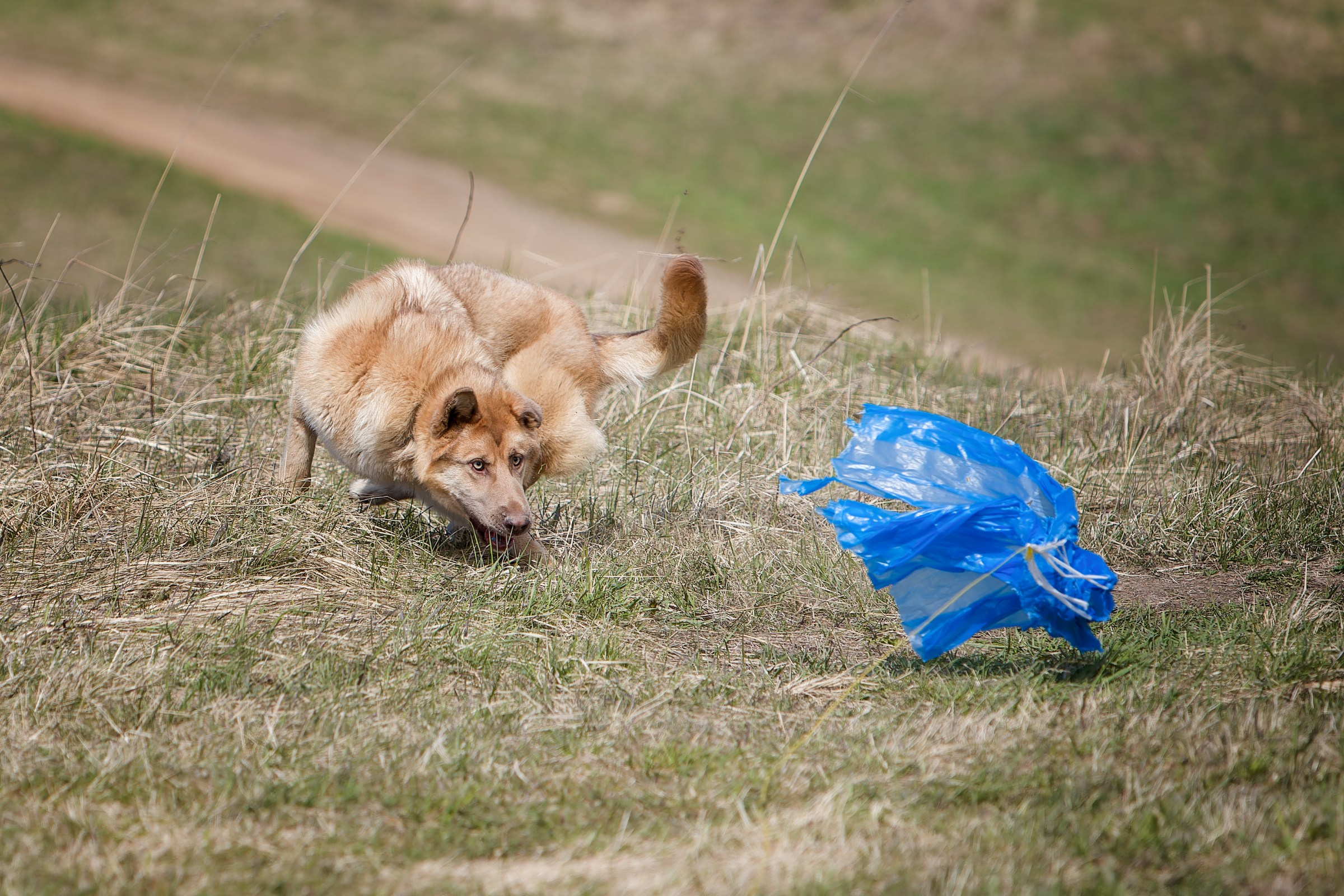 Lure Club 2025. Irenephoto.ru