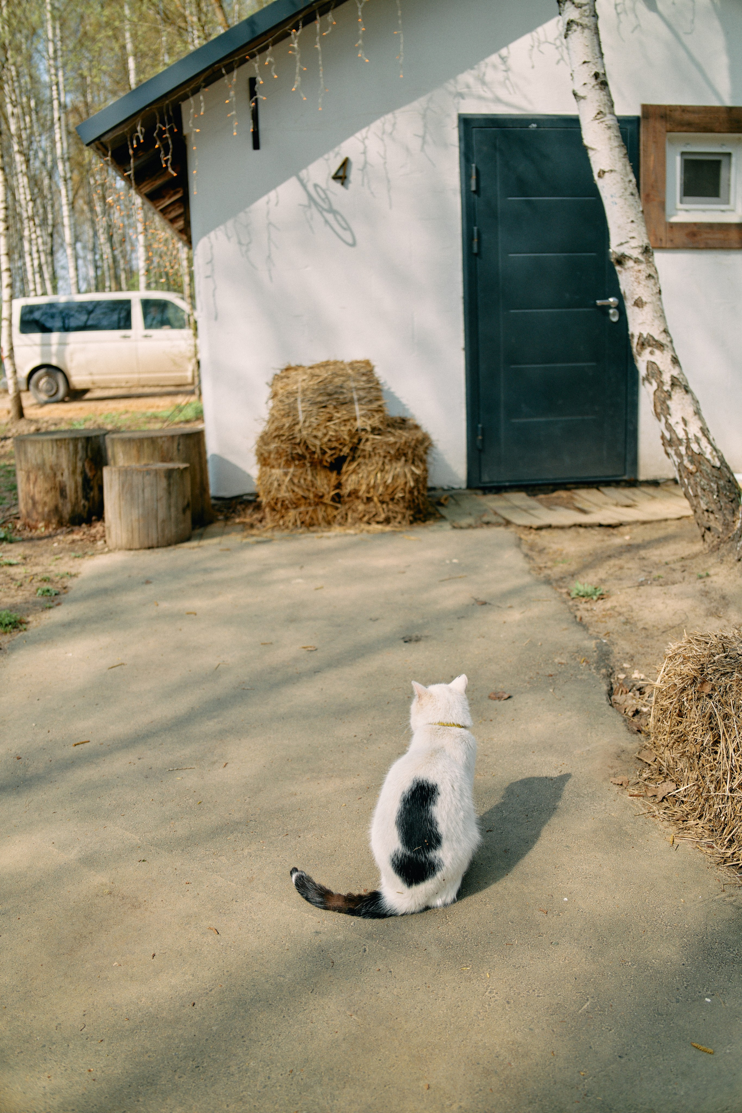 Бутик-отель Поле летом. Профессиональный Фотограф во Владимире, в Москве и в Суздале — Полина Романычева