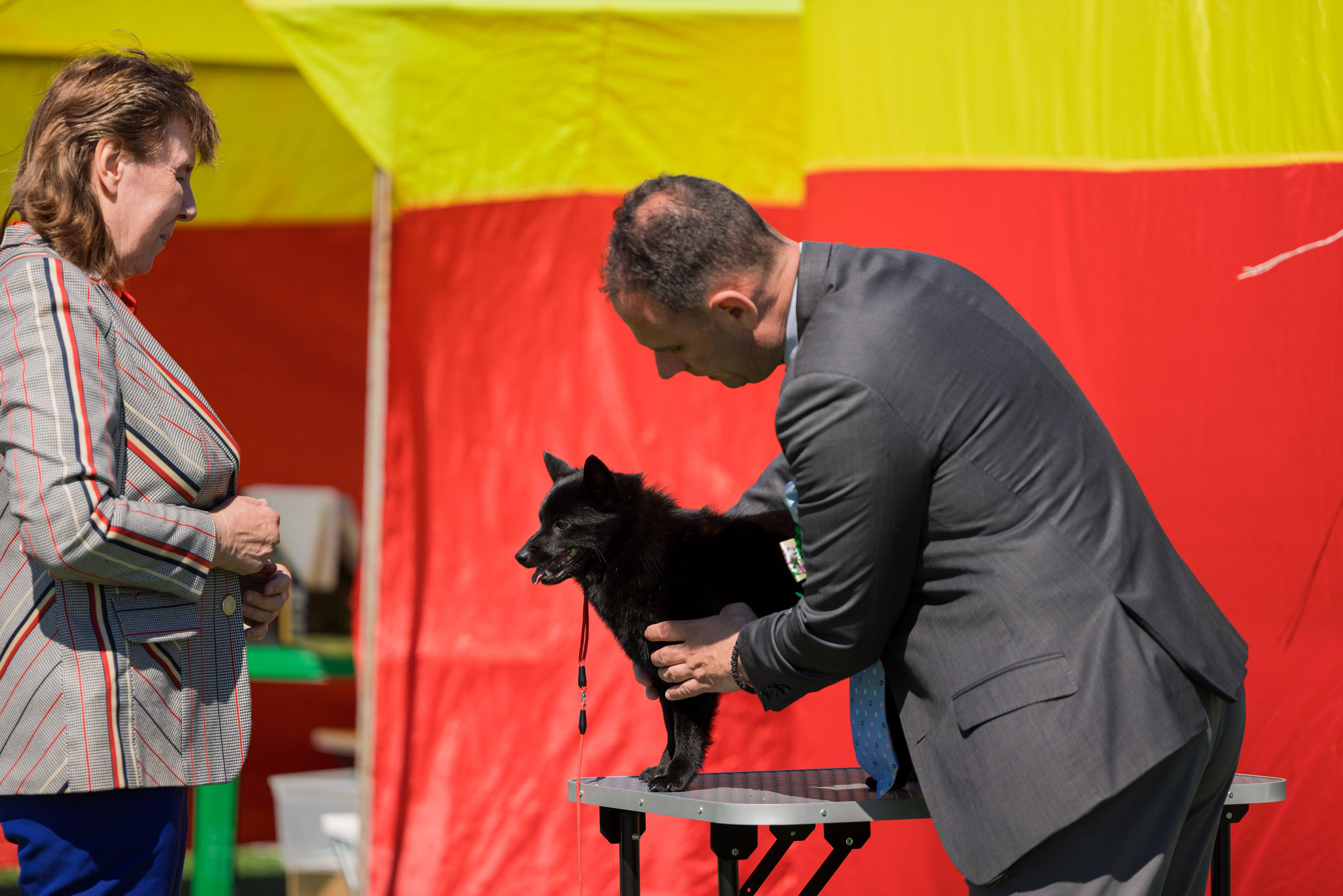 Суздаль 18-19.05.2024. Фотограф-анималист Юлия Германика