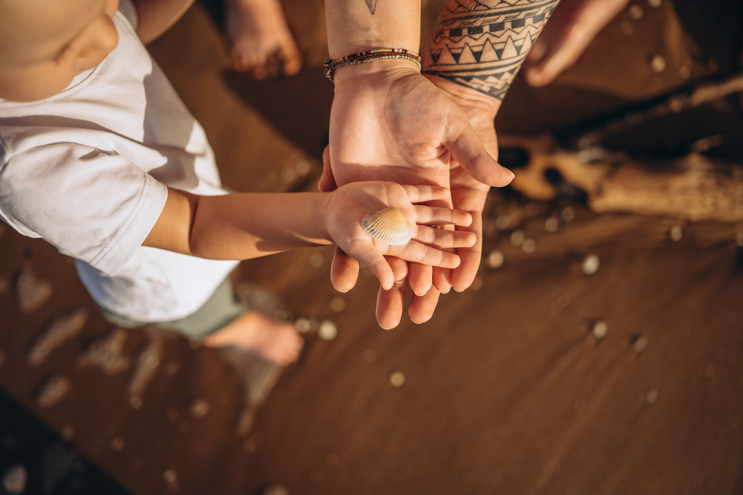Алексей, Виктория и Матвей. Фотограф Горбенко Анна