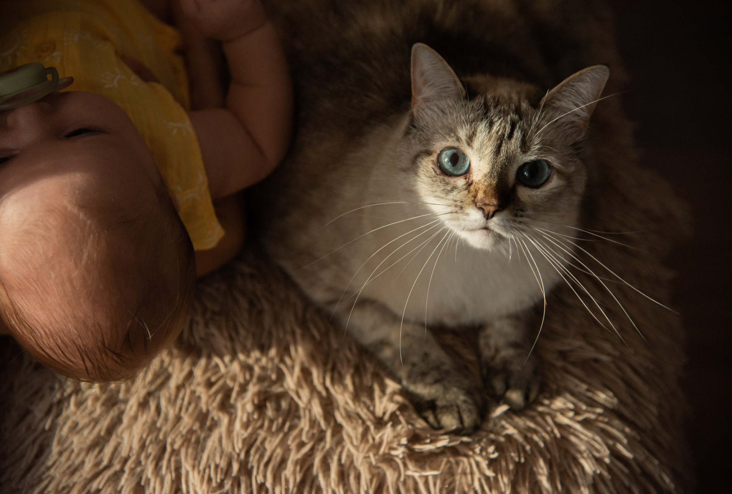 Домашние обнимашки. Свадебный и семейный фотограф Ольга Астрейко