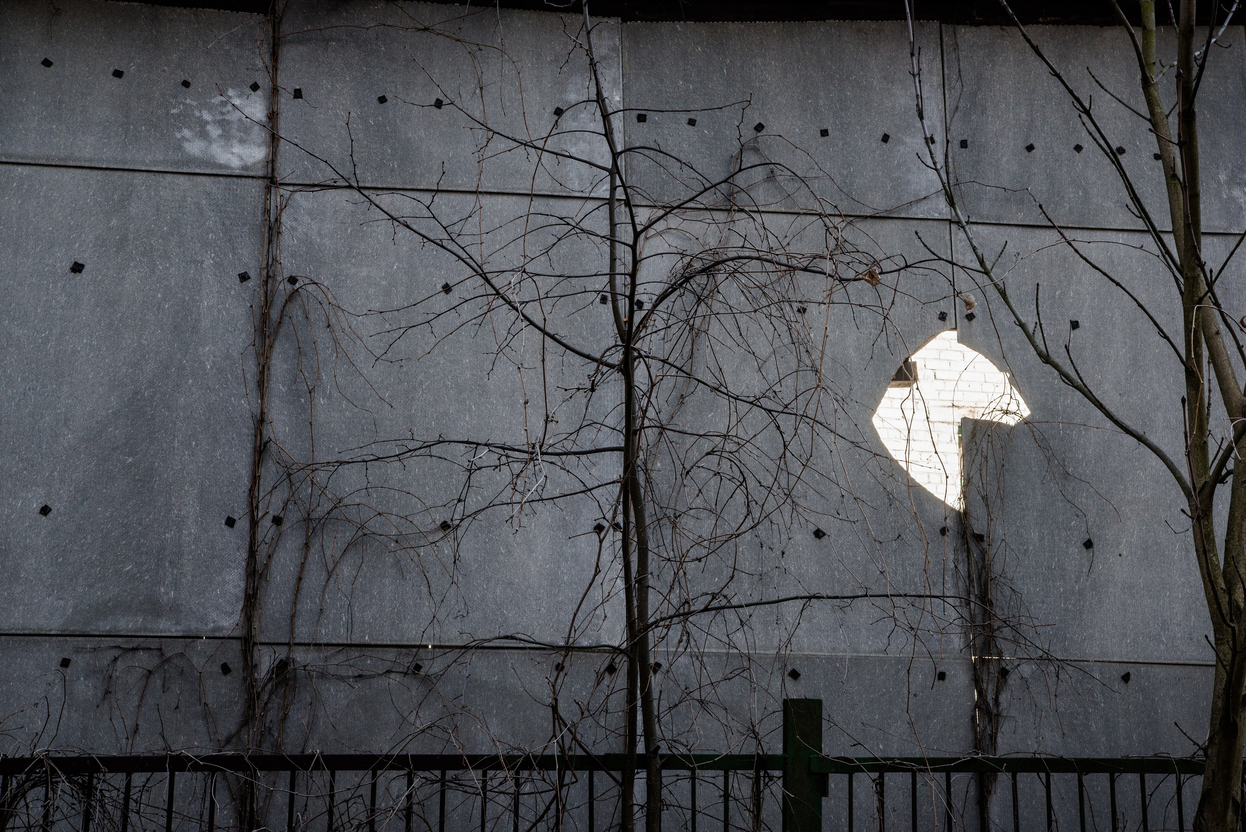 Singles 2. Alyona Kochetkova | Photographer and photography educator