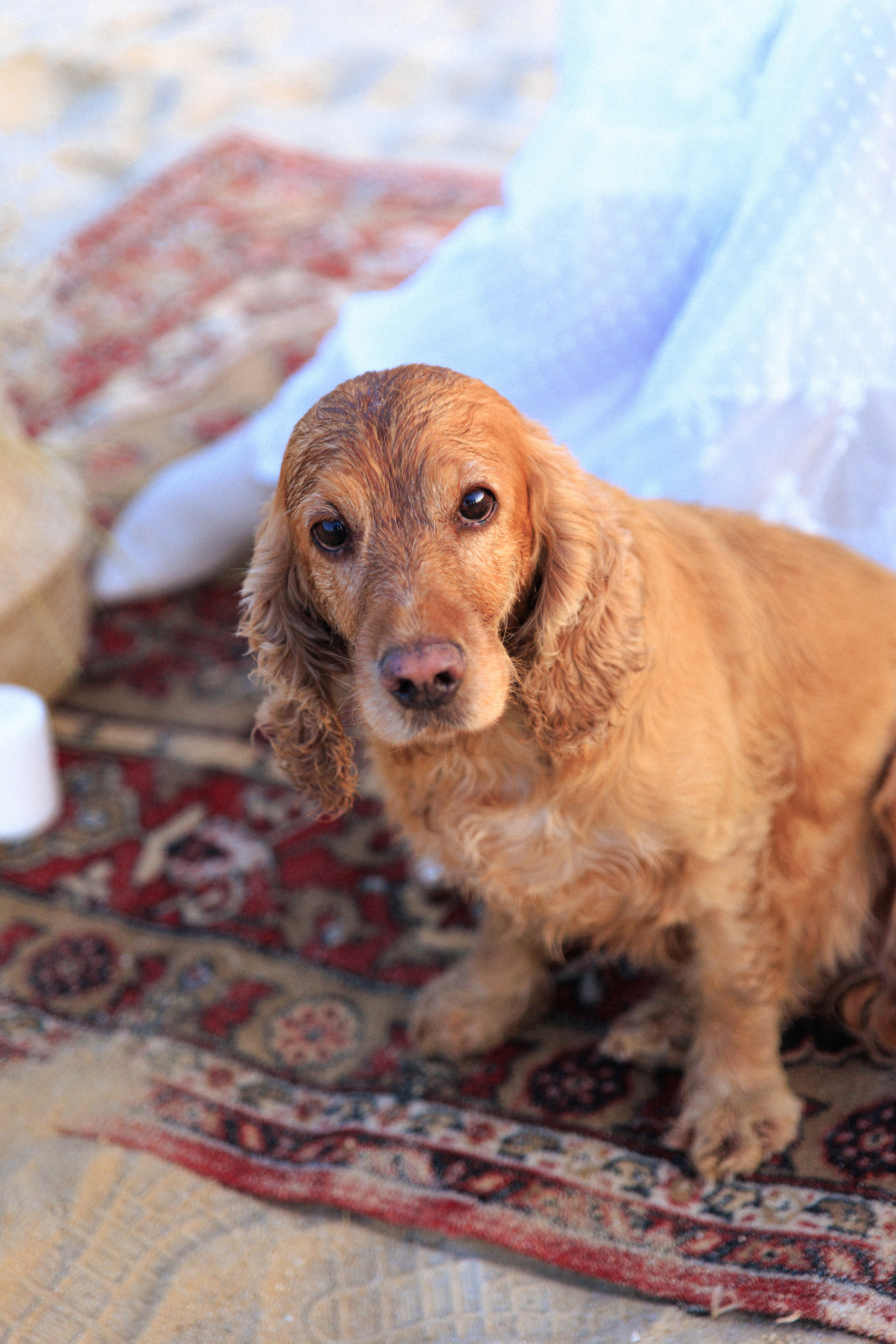 Country style wed walk| Nura + Dima. Орлова Мария фотограф Волгоград, Камышин