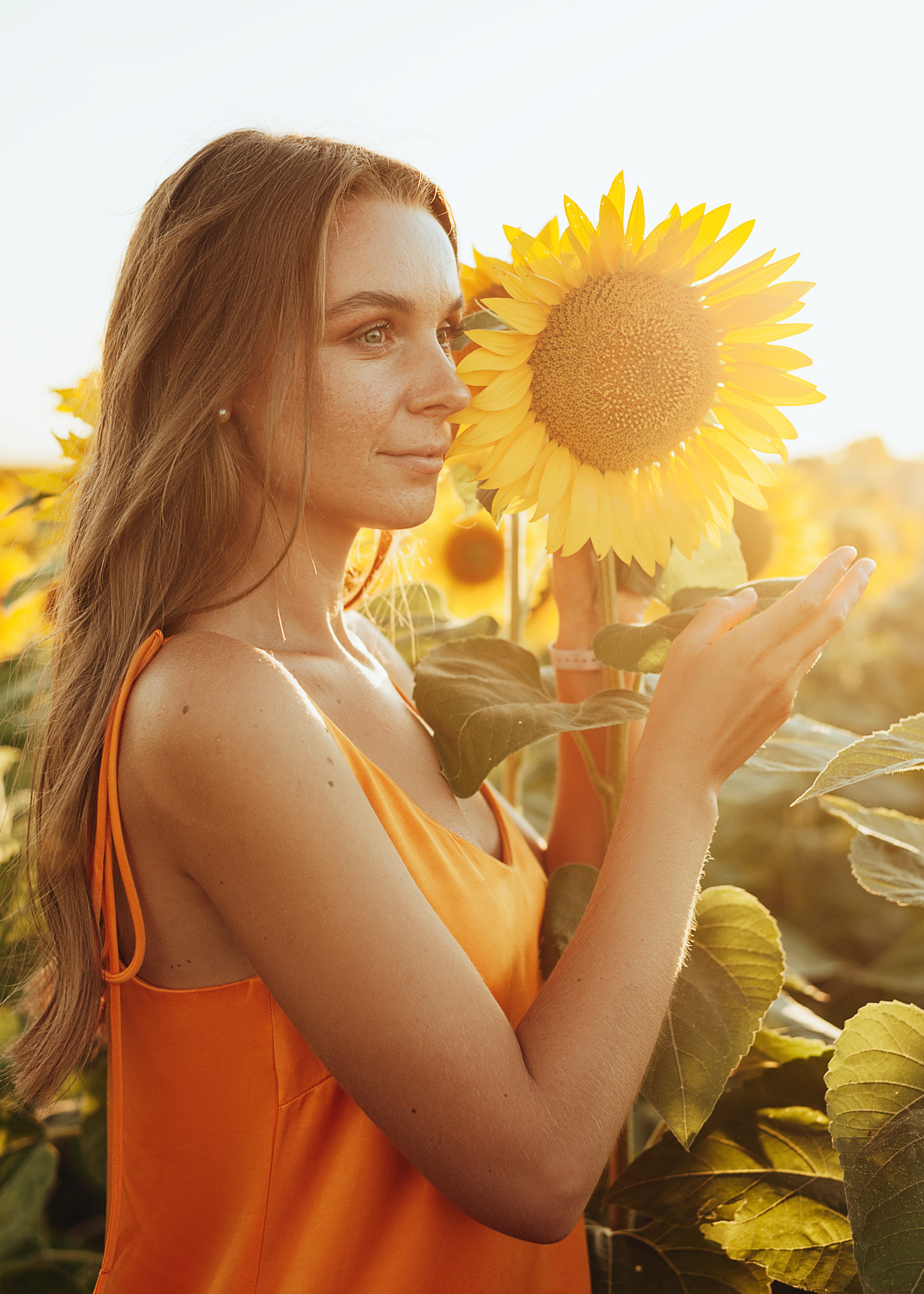 Девушка в оранжевом летнем платье в поле подсолнухов на закате, Крым