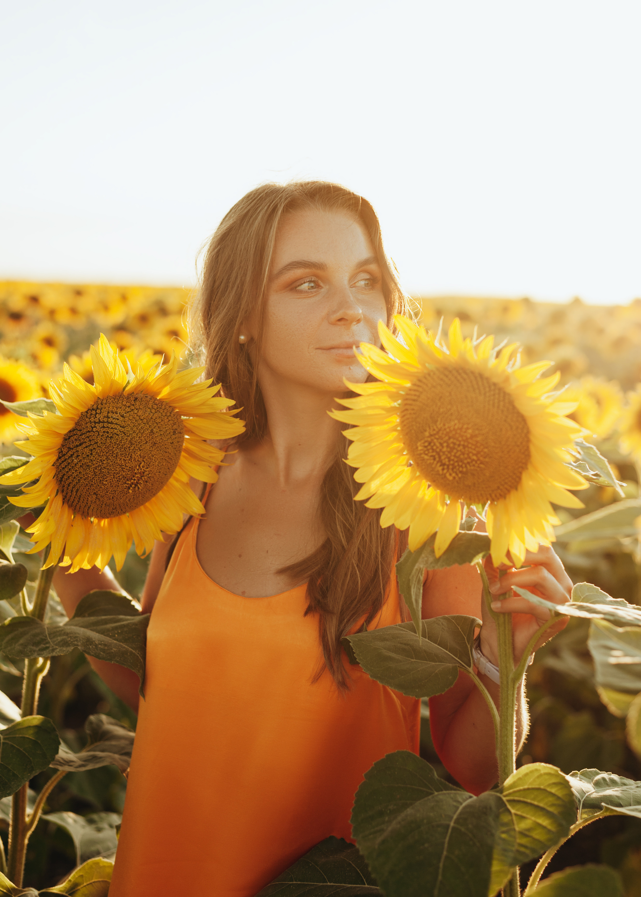 Съемка в подсолнухах. Портретный свадебный фотограф Крым | Евгения Щитенко