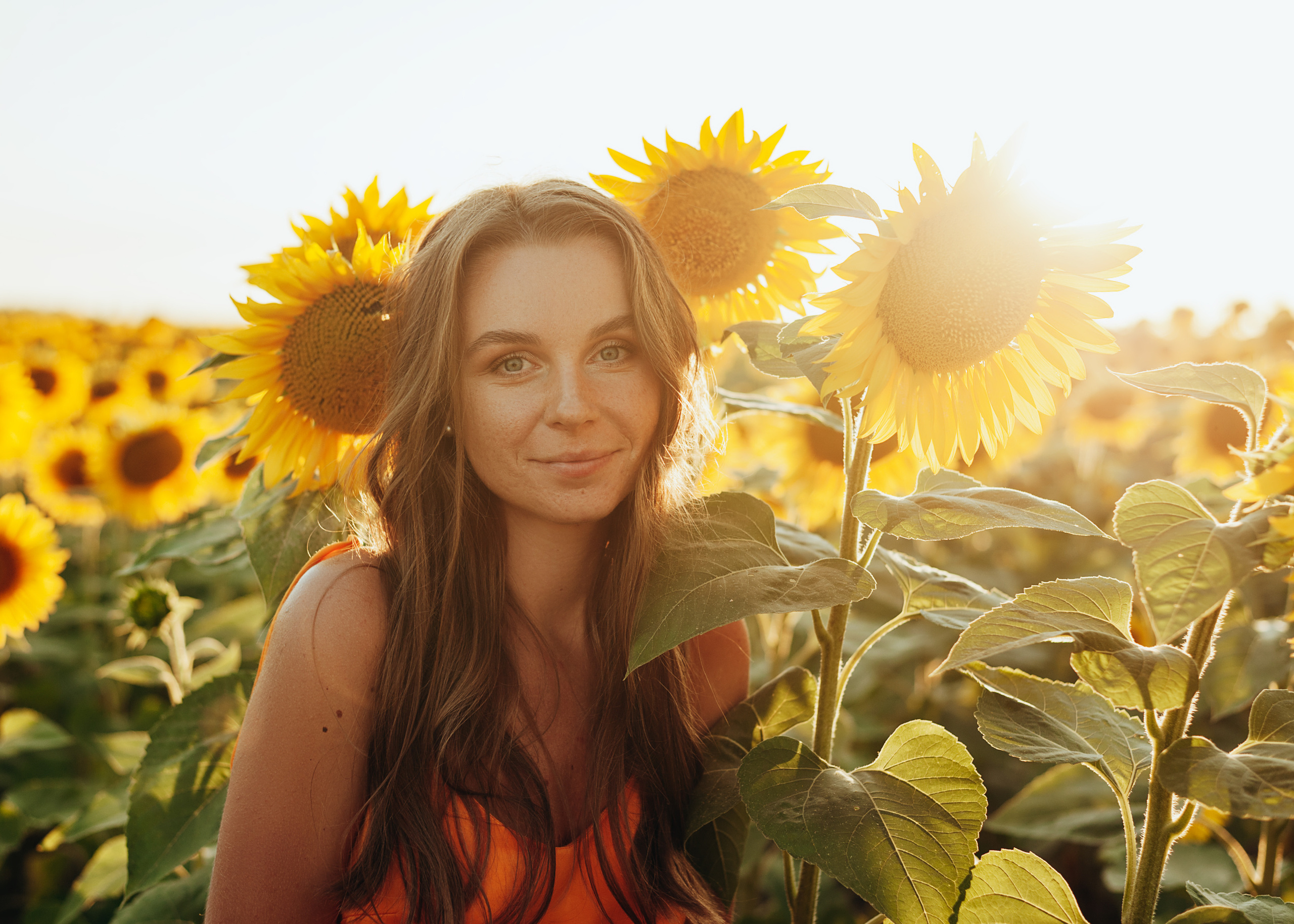 Съемка в подсолнухах. Портретный свадебный фотограф Крым | Евгения Щитенко