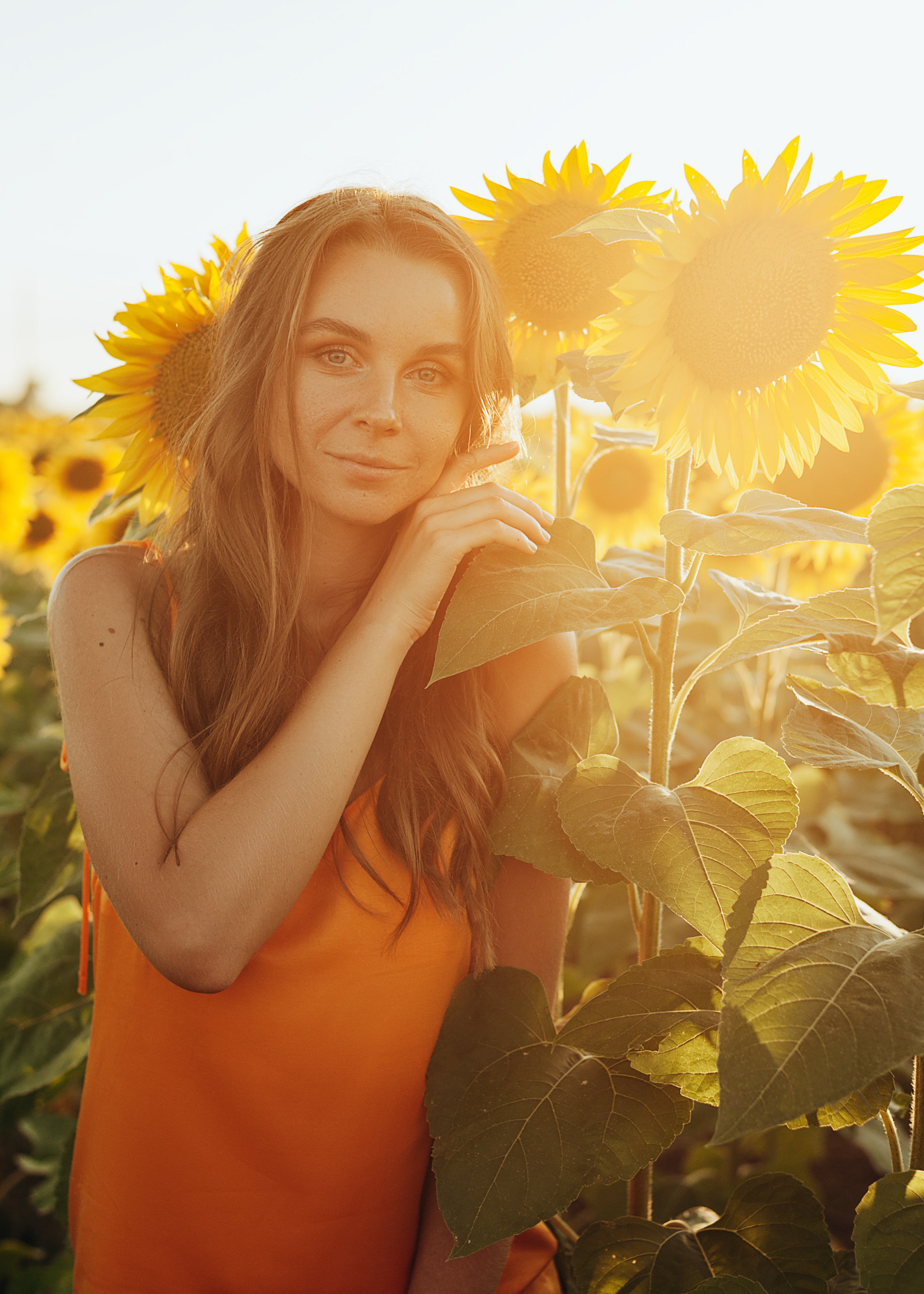 Съемка в подсолнухах. Портретный свадебный фотограф Крым | Евгения Щитенко