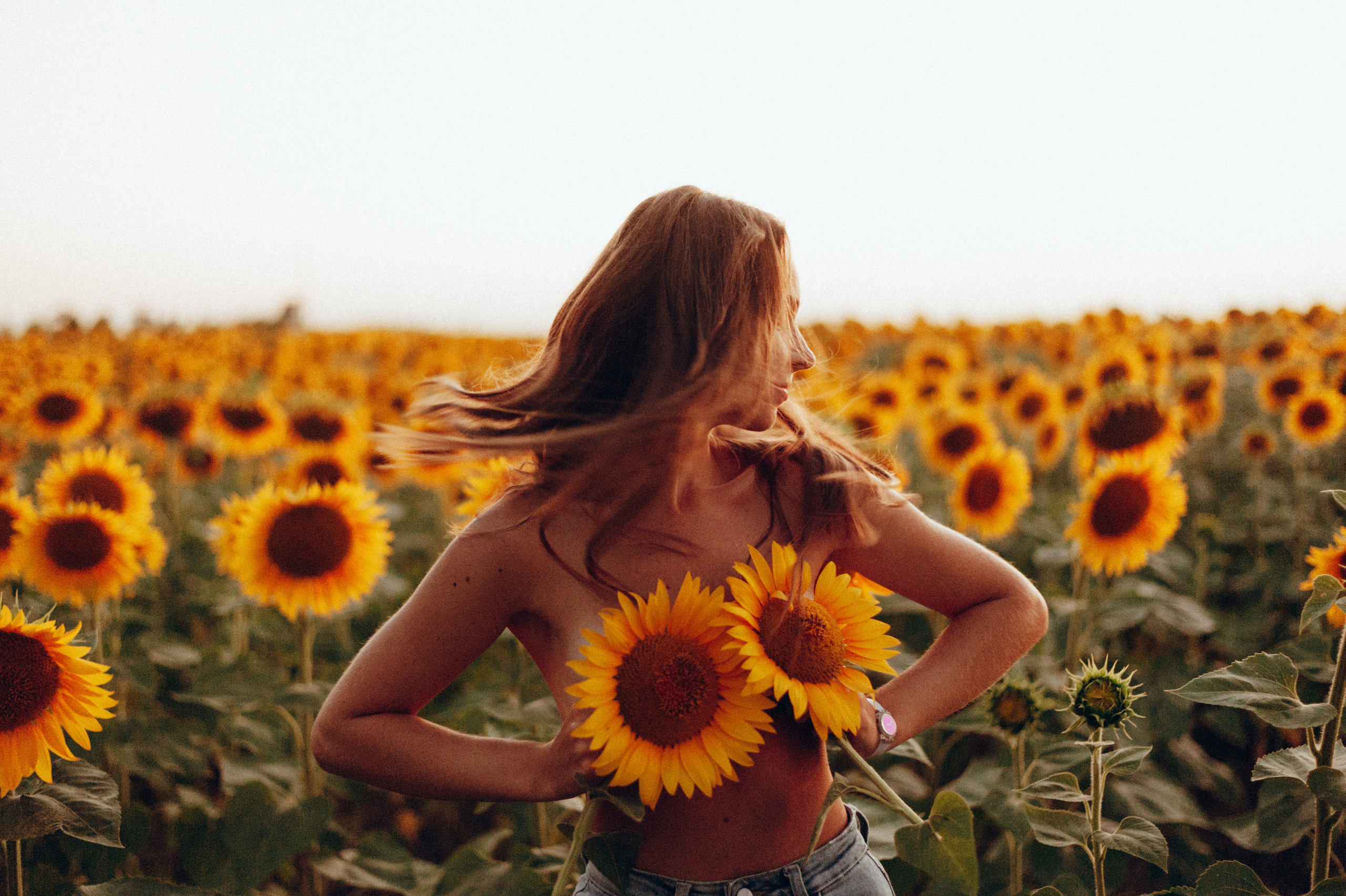 Съемка в подсолнухах. Портретный свадебный фотограф Крым | Евгения Щитенко