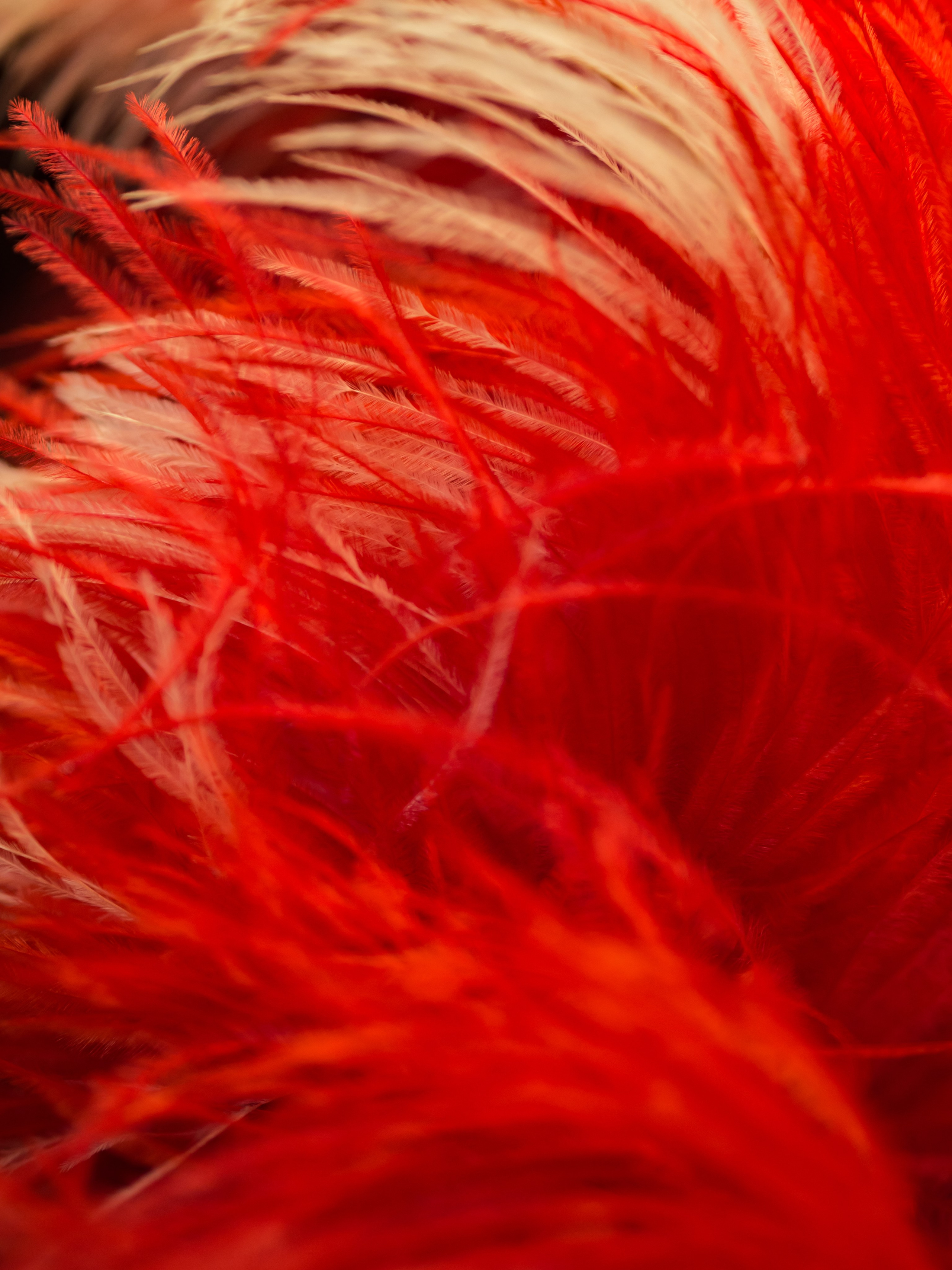 Арт. Oles Paritskiy