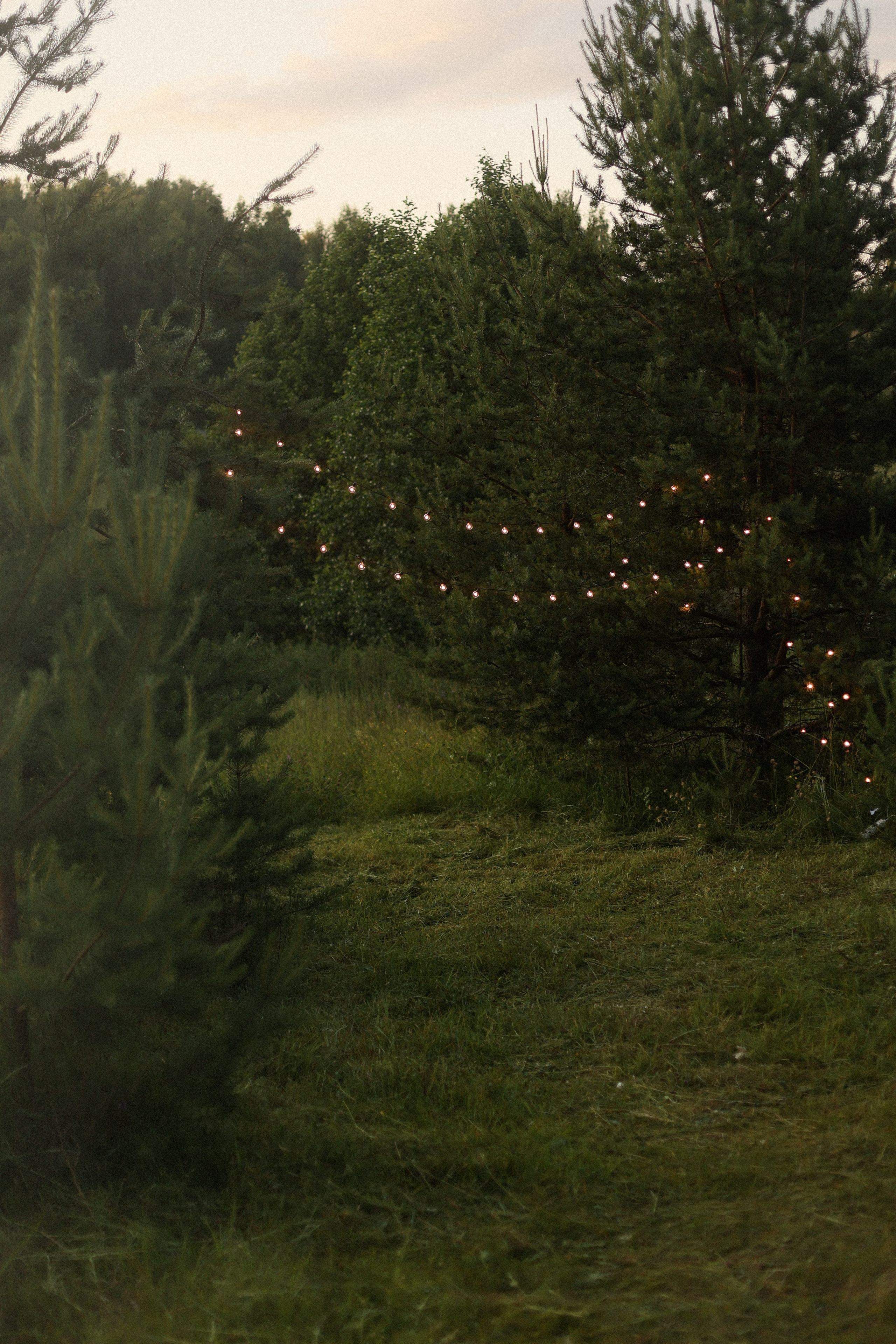 Творческий проект — Итальянская свадьба. Фотограф — Ольга Косолюкина