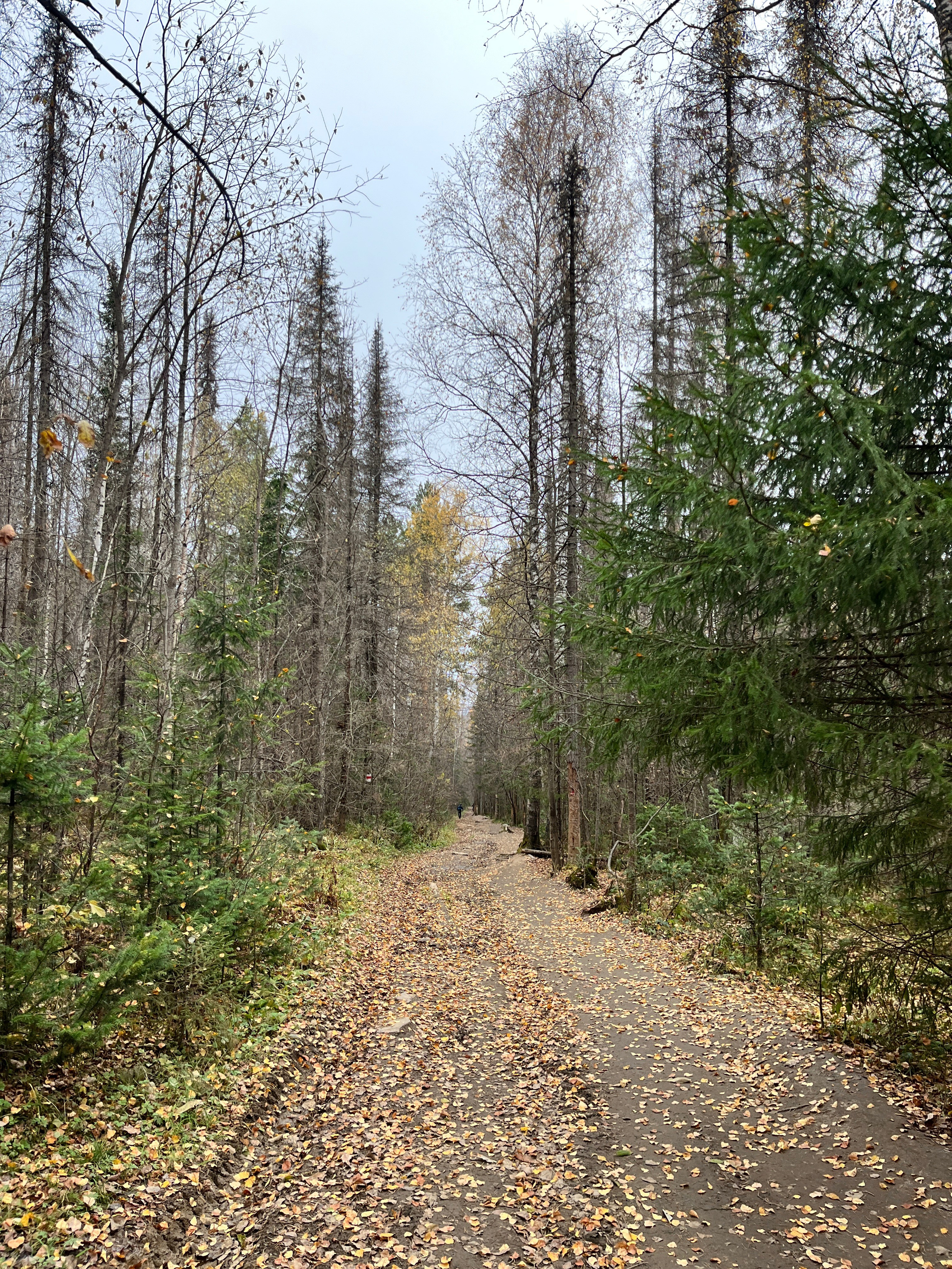 Тур на Таганай из Уфы — Время Приключений