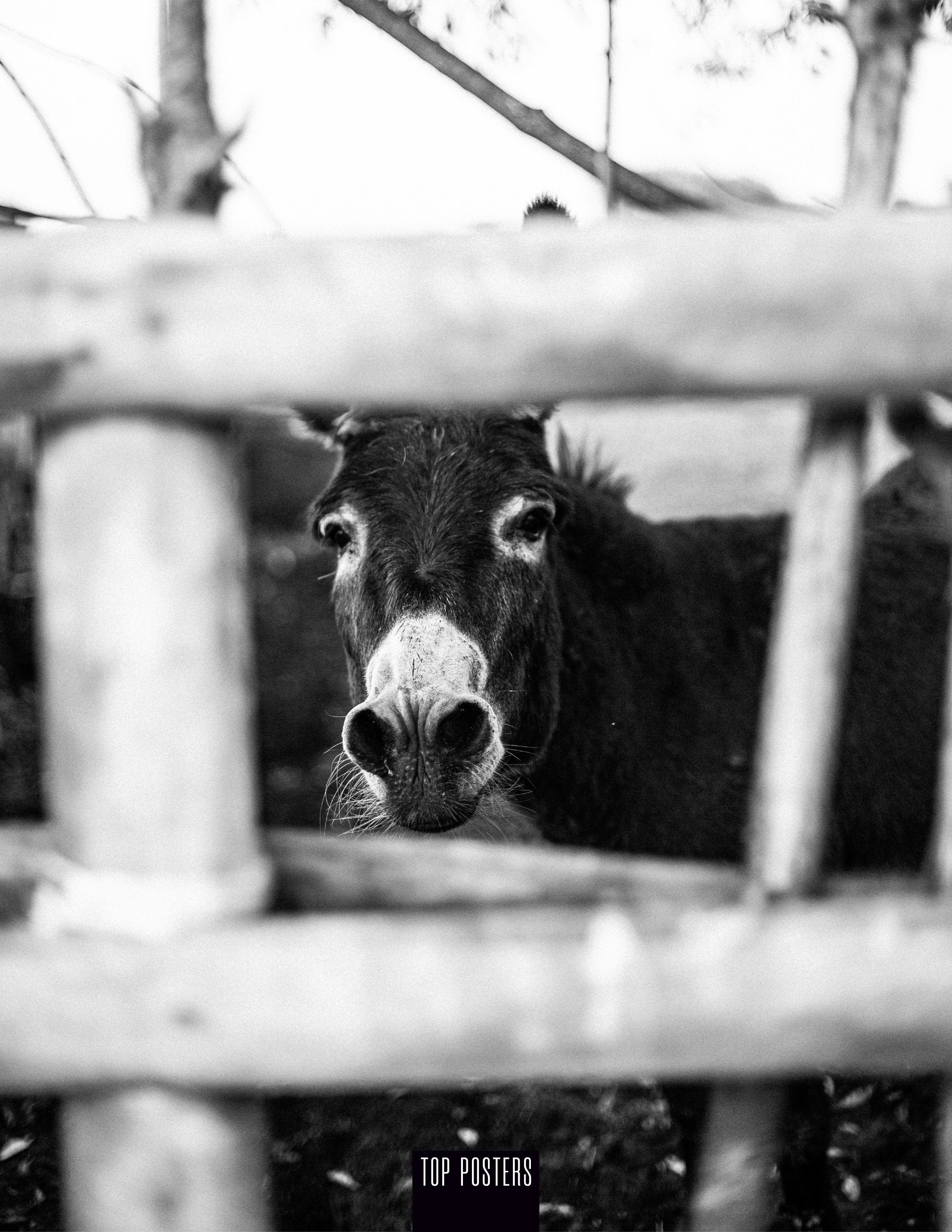 Я в Ж У Р Н А Л Е. Фотограф в Нижнем Новгороде