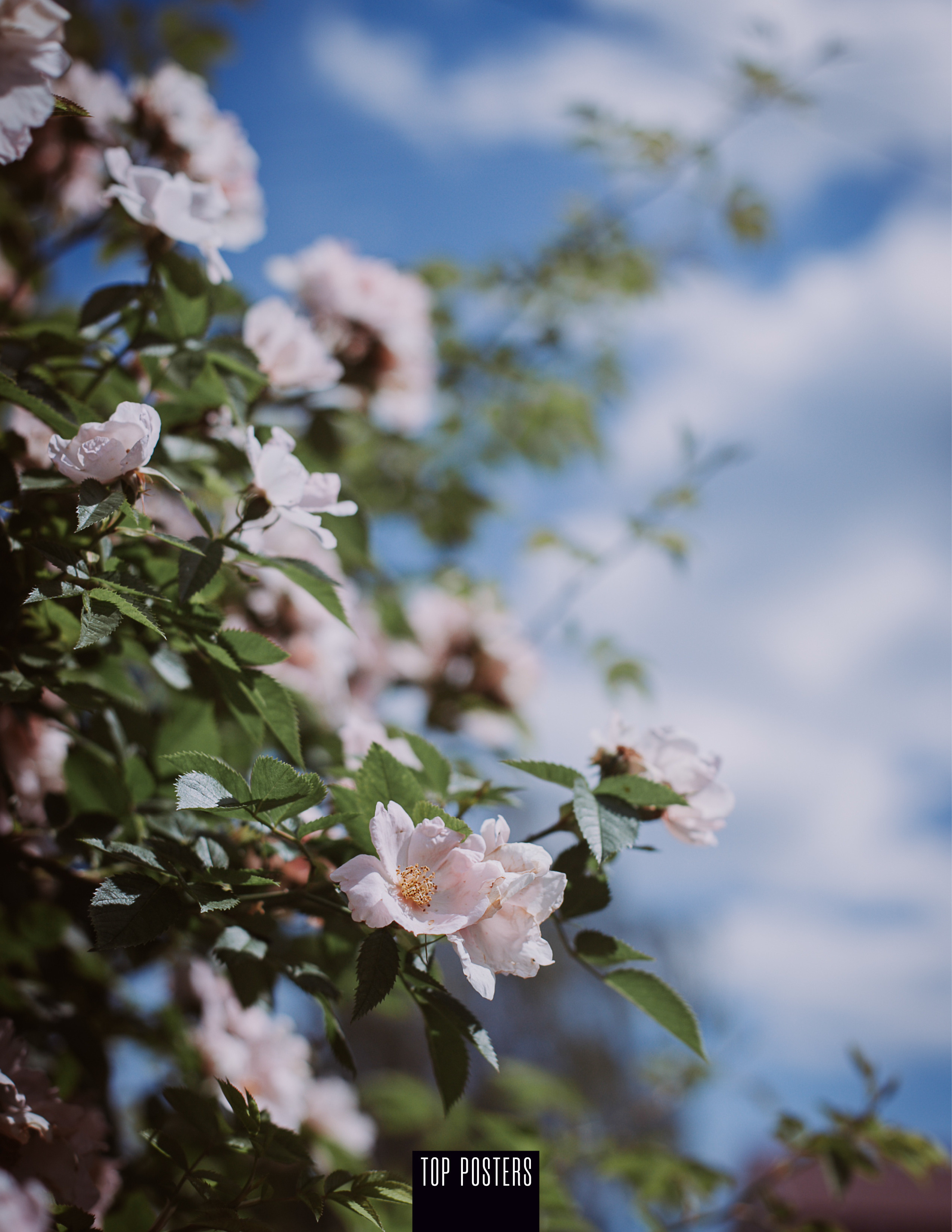 Я в Ж У Р Н А Л Е. Фотограф в Нижнем Новгороде