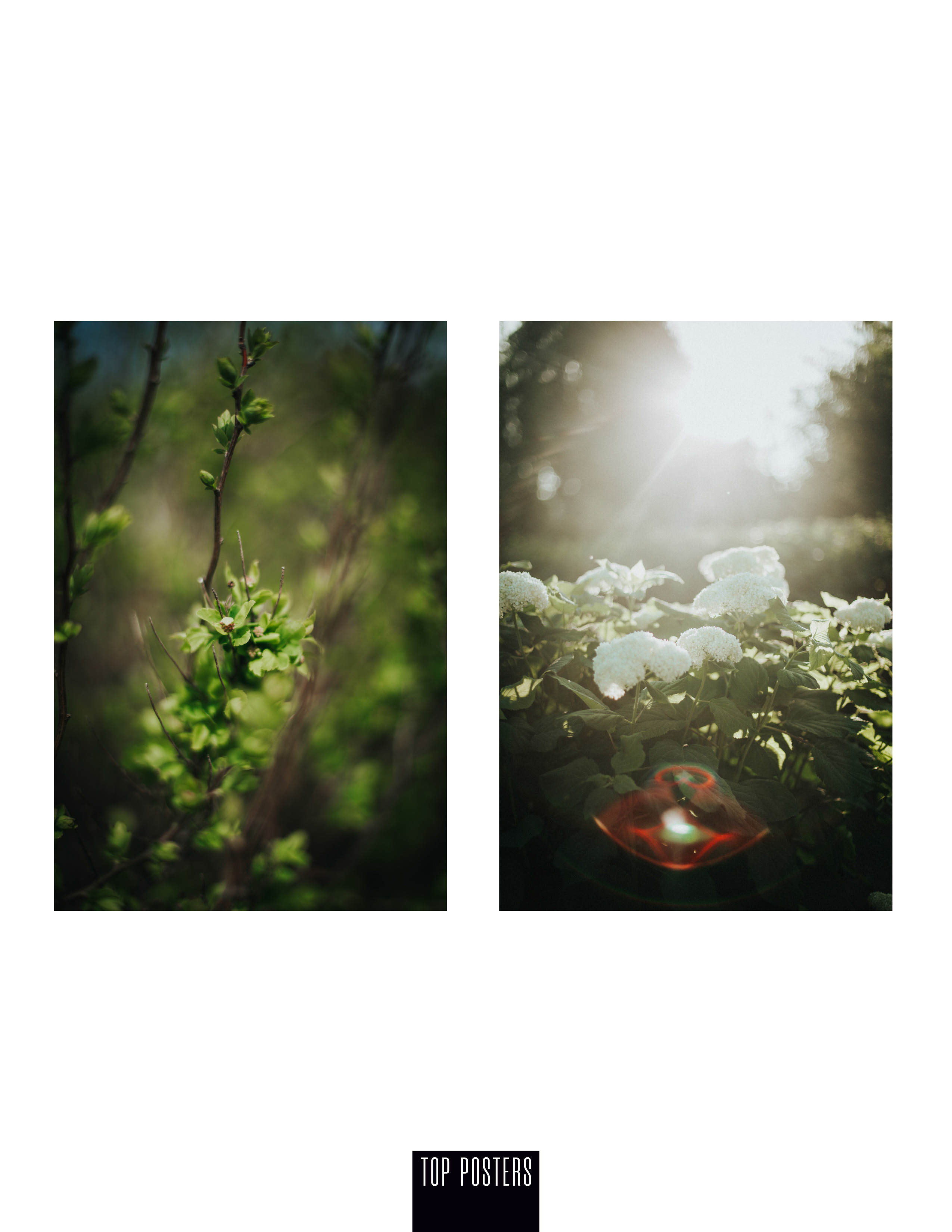 Я в Ж У Р Н А Л Е. Фотограф в Нижнем Новгороде