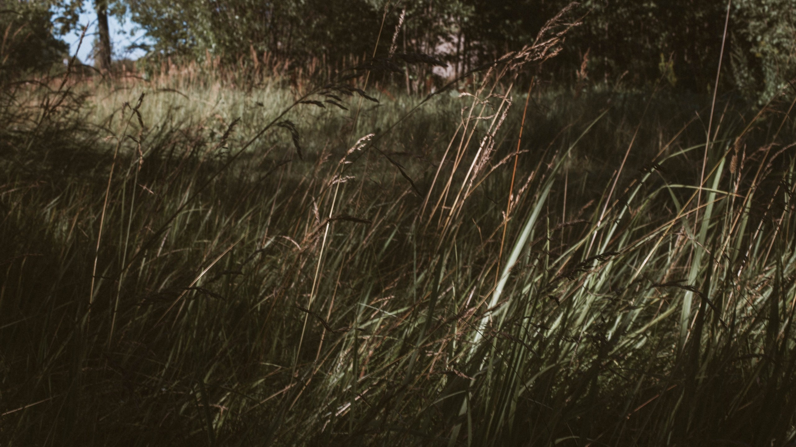 Здесь ̶м̶о̶г̶л̶а̶ ̶ ДОЛЖНА быть ТЫ. Фотограф в Нижнем Новгороде
