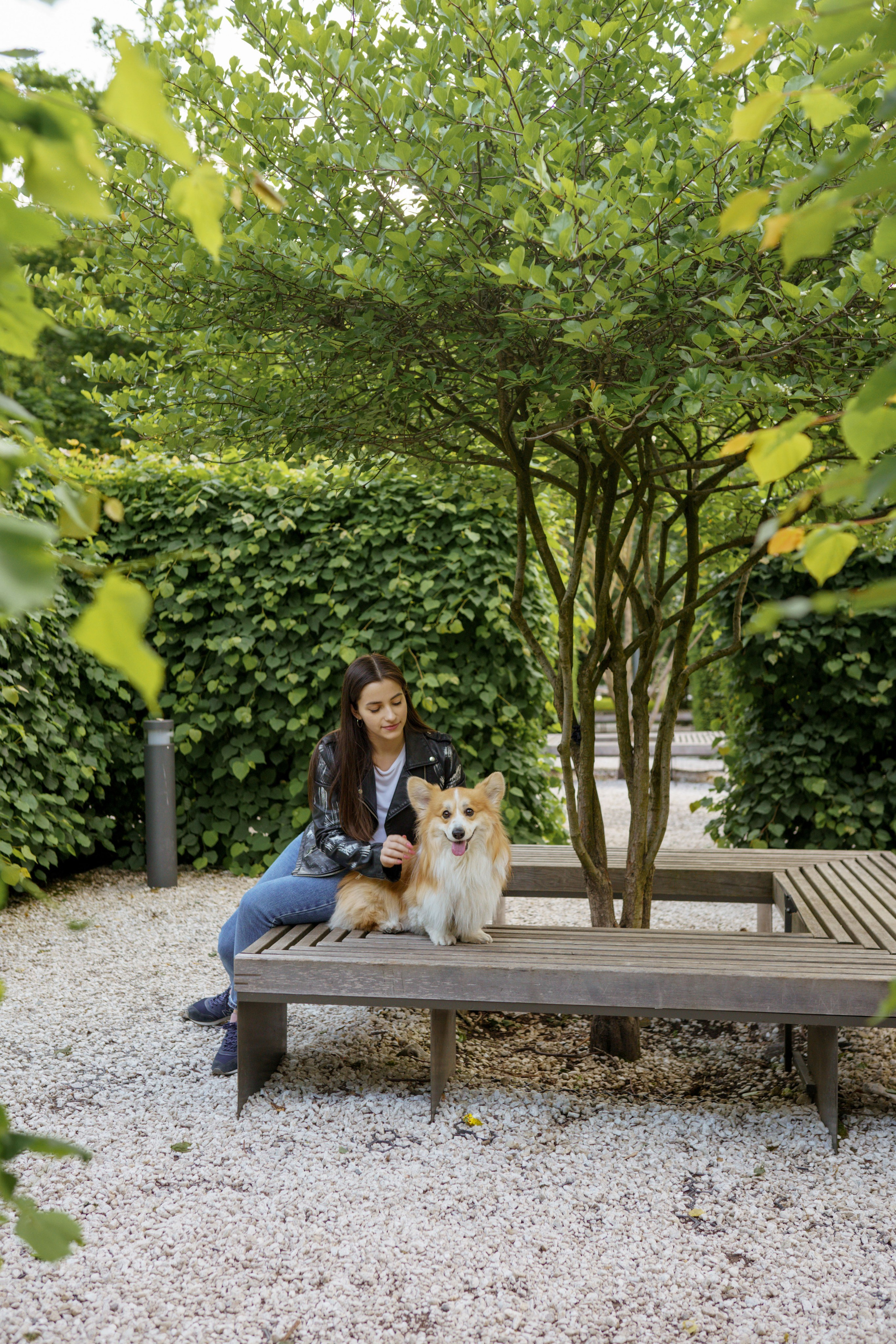 Катя, Арсений и Пух. Свадебный фотограф в Москве Анна Полушина