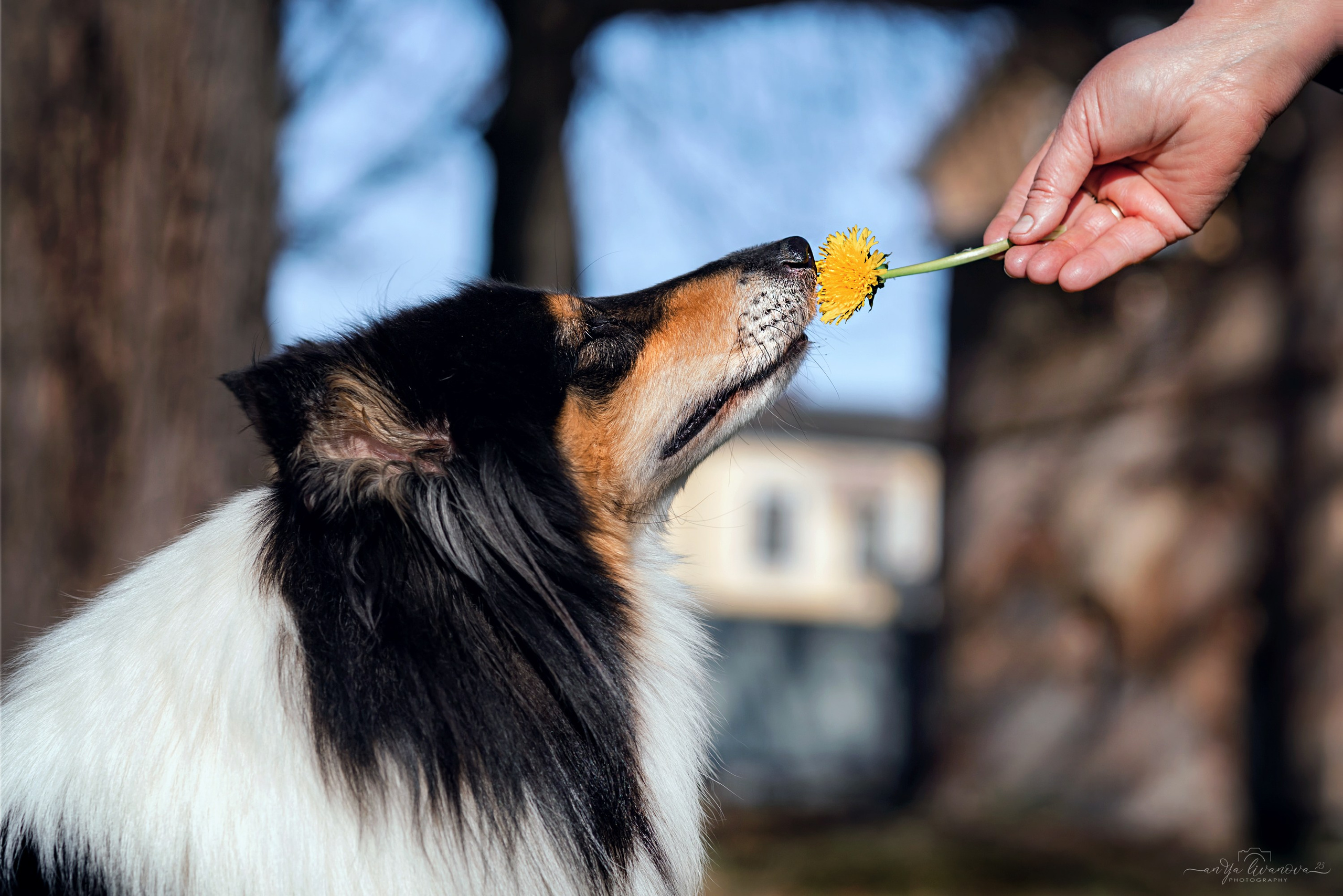 Оля и Вива. Фотограф анималист Аня Ливанова | Рыбинск