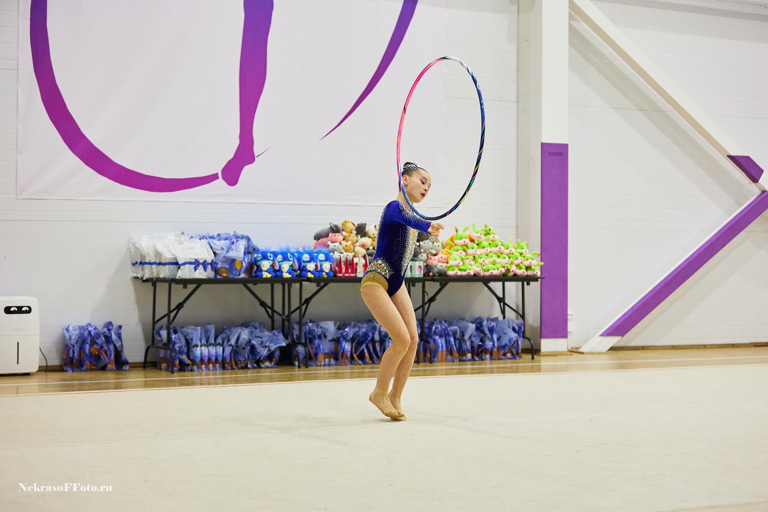 Художественная гимнастика. Спортивный фотограф Некрасов Денис