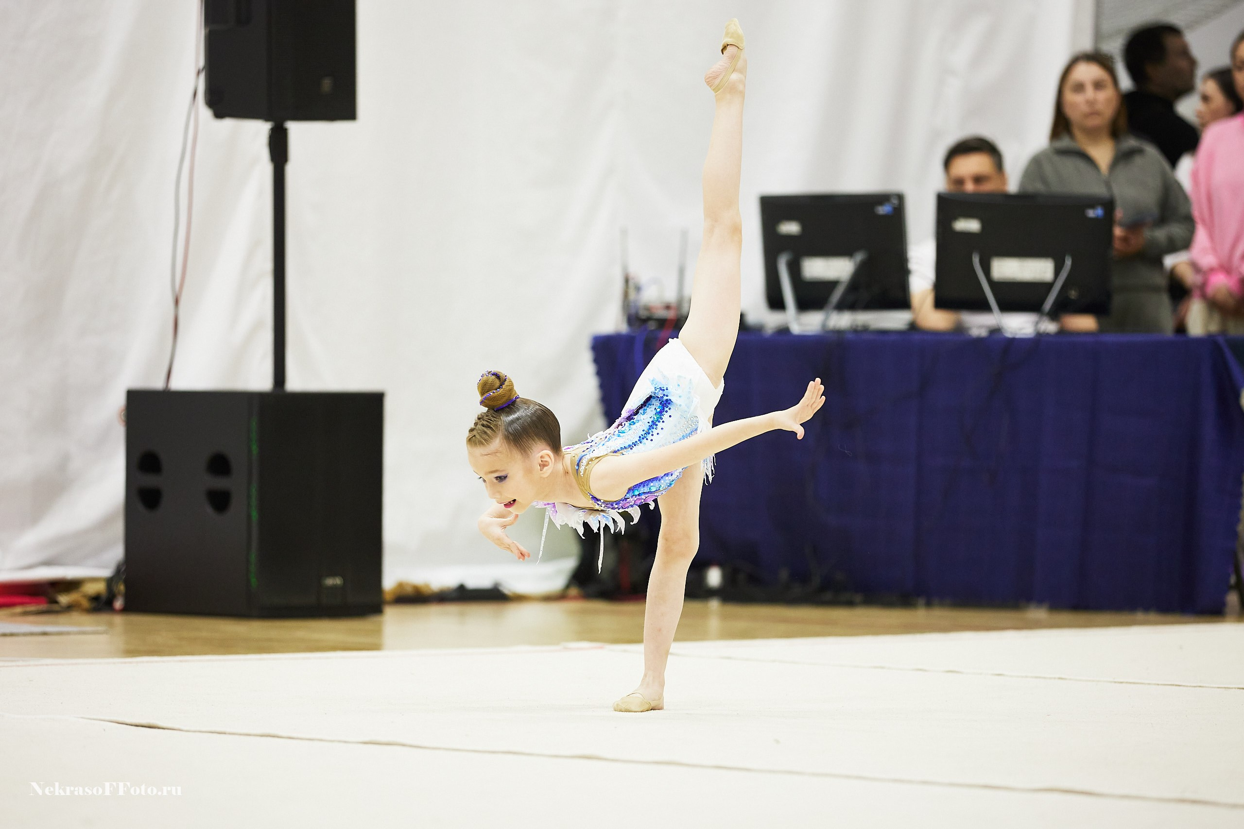 Художественная гимнастика. Спортивный фотограф Некрасов Денис
