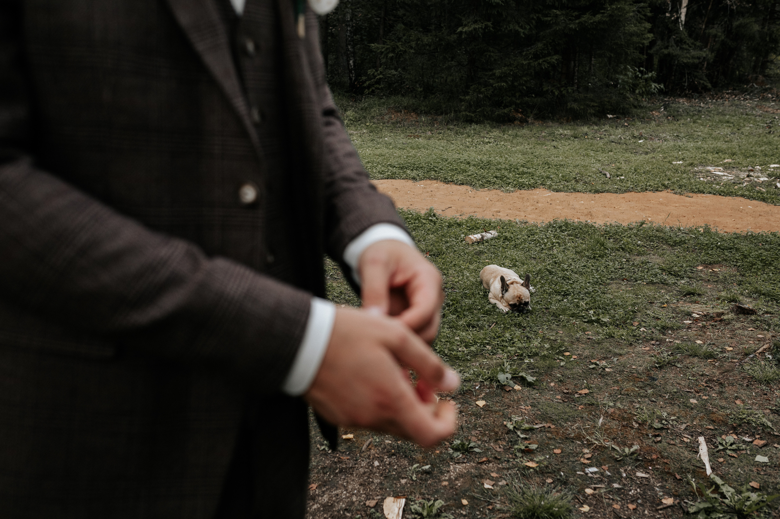 Свадьба Настя + Серёжа. Свадебный фотограф Ярославль, Рыбинск