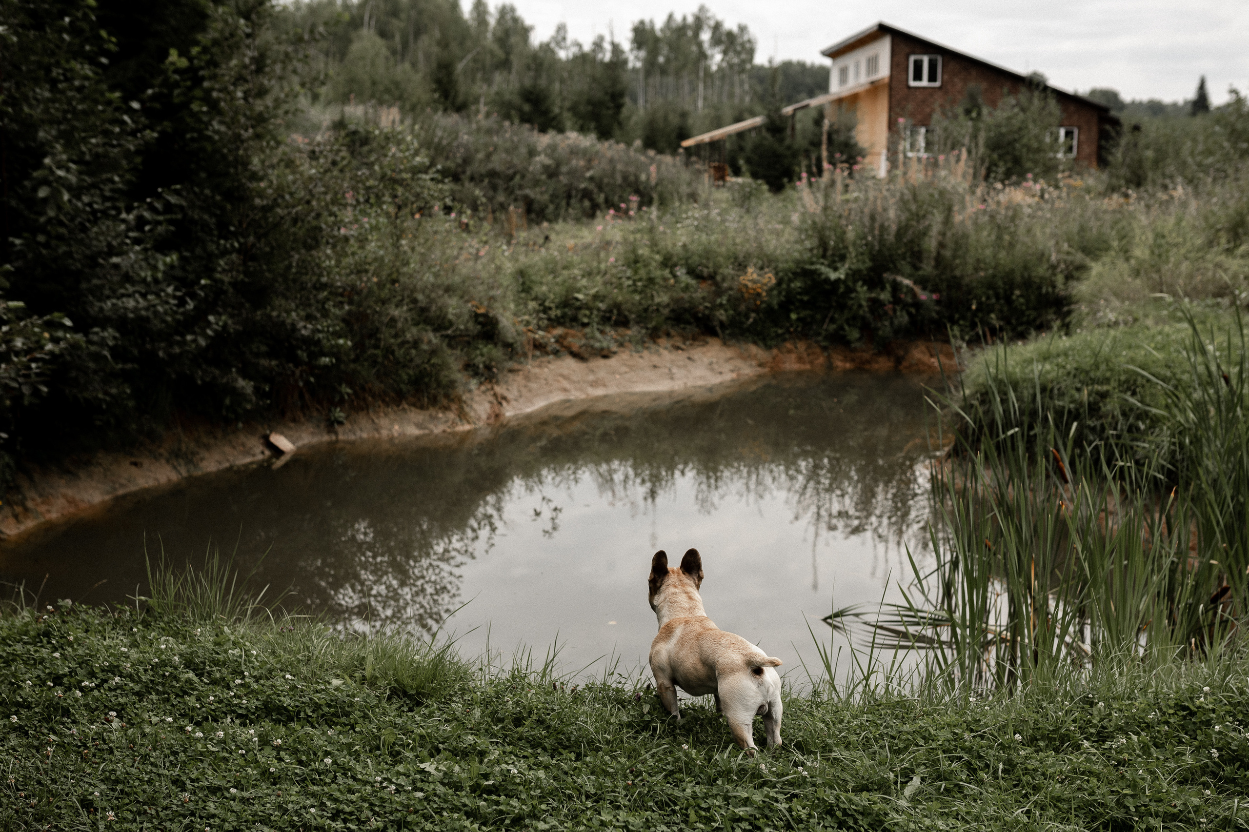 Свадьба Настя + Серёжа. Свадебный фотограф Ярославль, Рыбинск