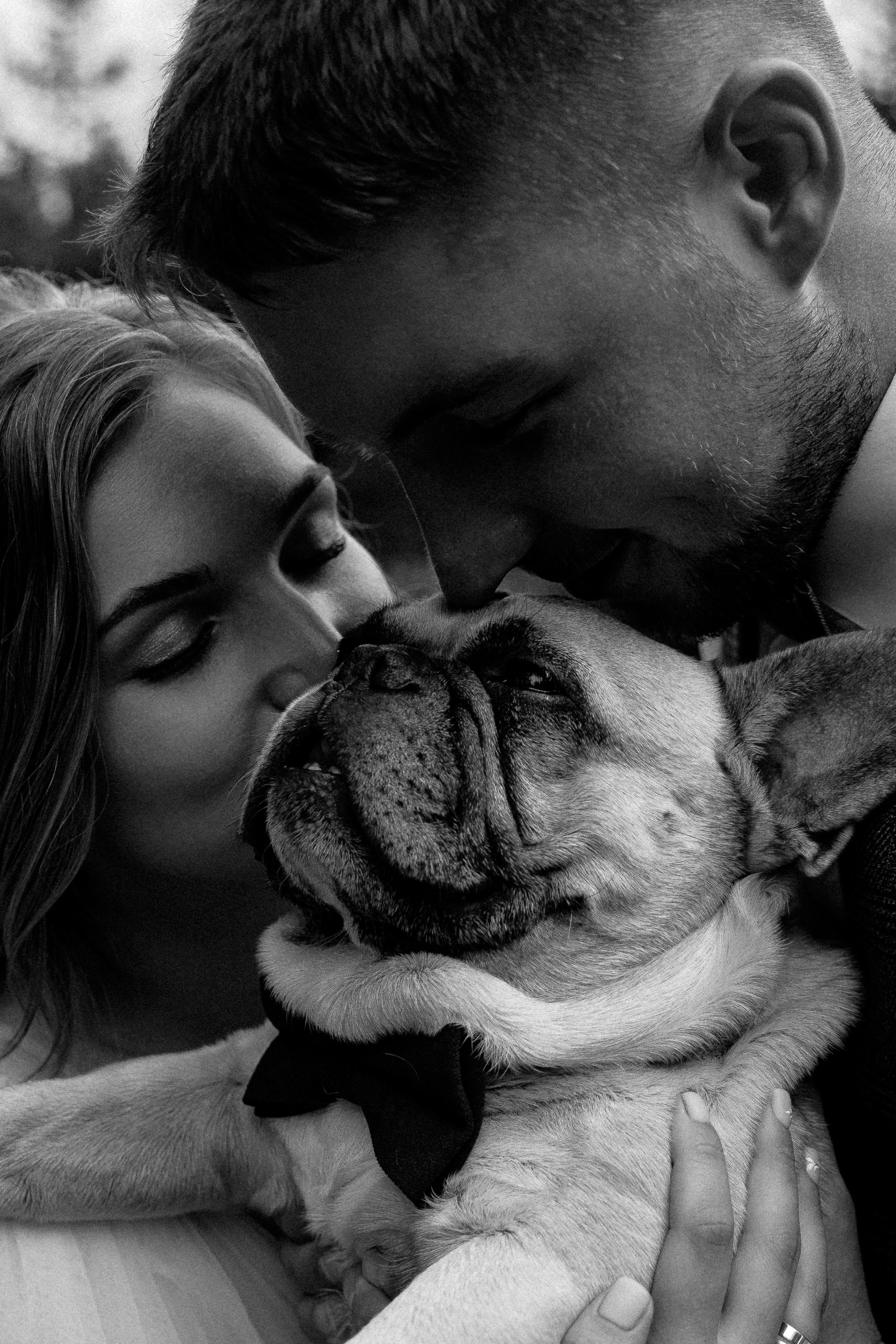 Свадьба Настя + Серёжа. Свадебный фотограф Ярославль, Рыбинск