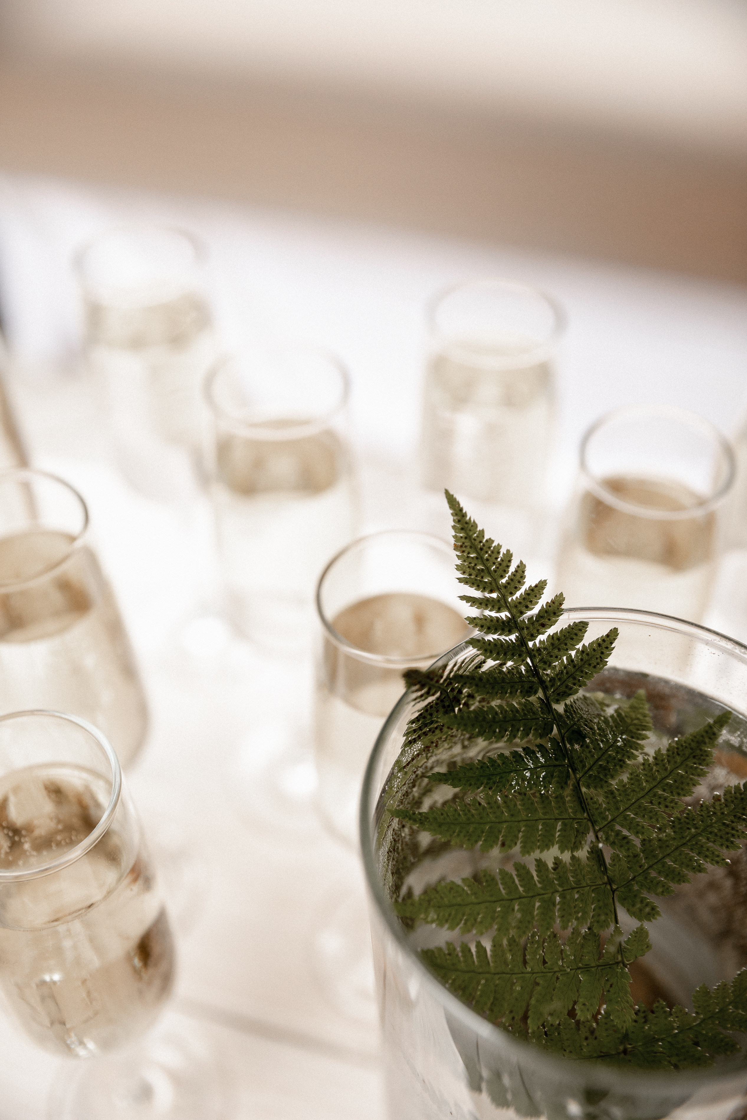 Свадьба Настя + Серёжа. Свадебный фотограф Ярославль, Рыбинск