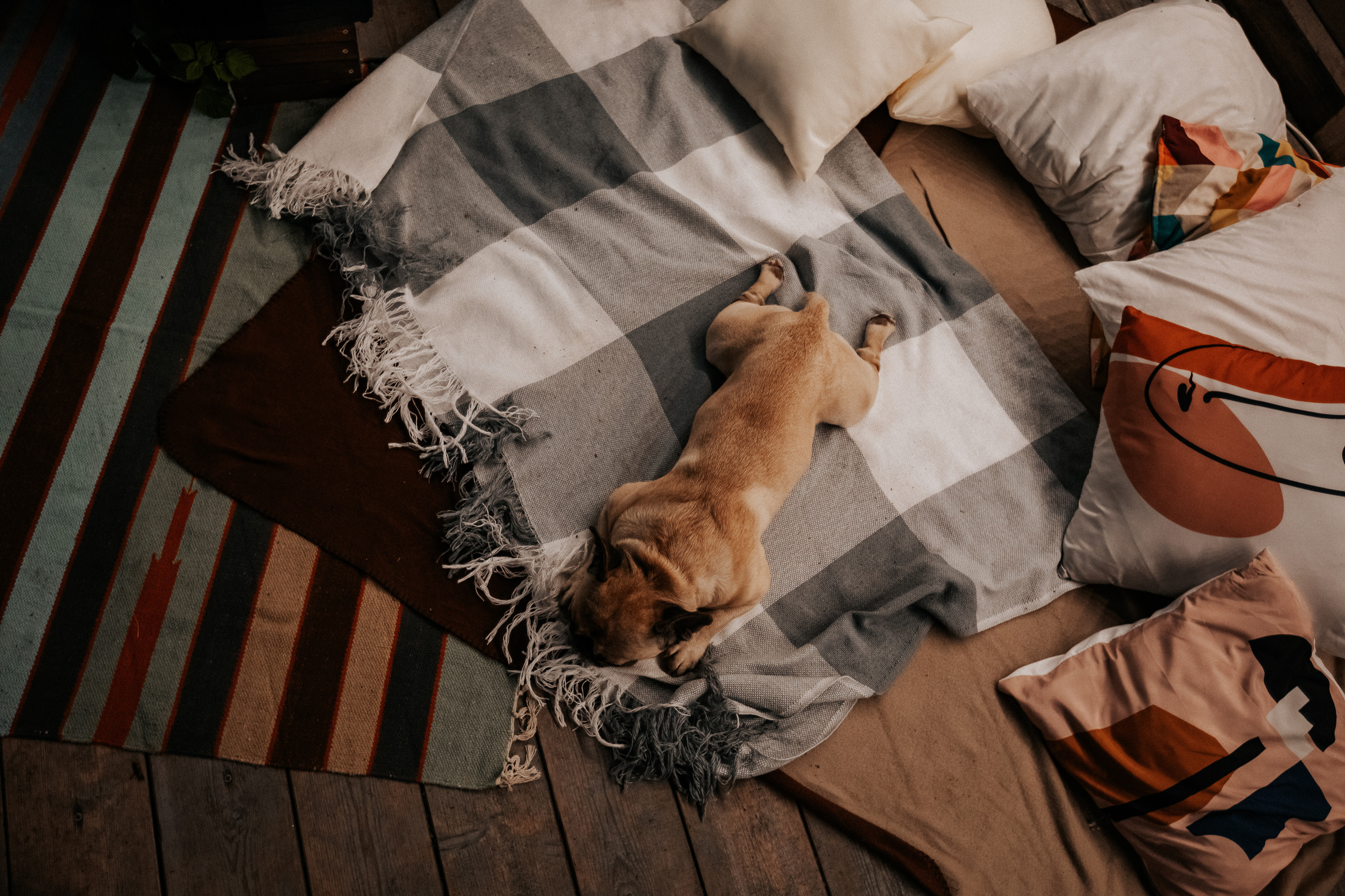 Свадьба Настя + Серёжа. Свадебный фотограф Ярославль, Рыбинск