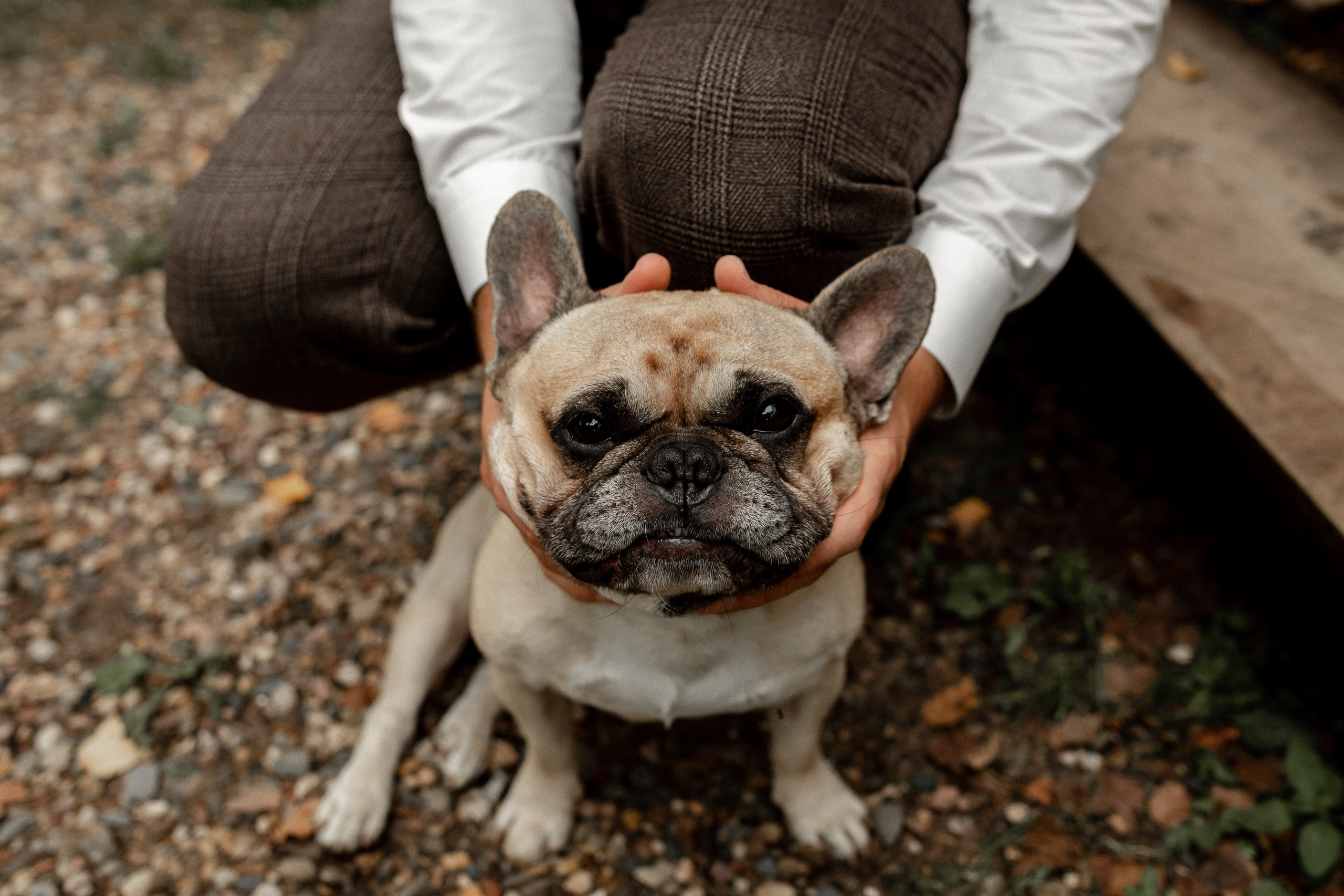 Свадьба Настя + Серёжа. Свадебный фотограф Ярославль, Рыбинск