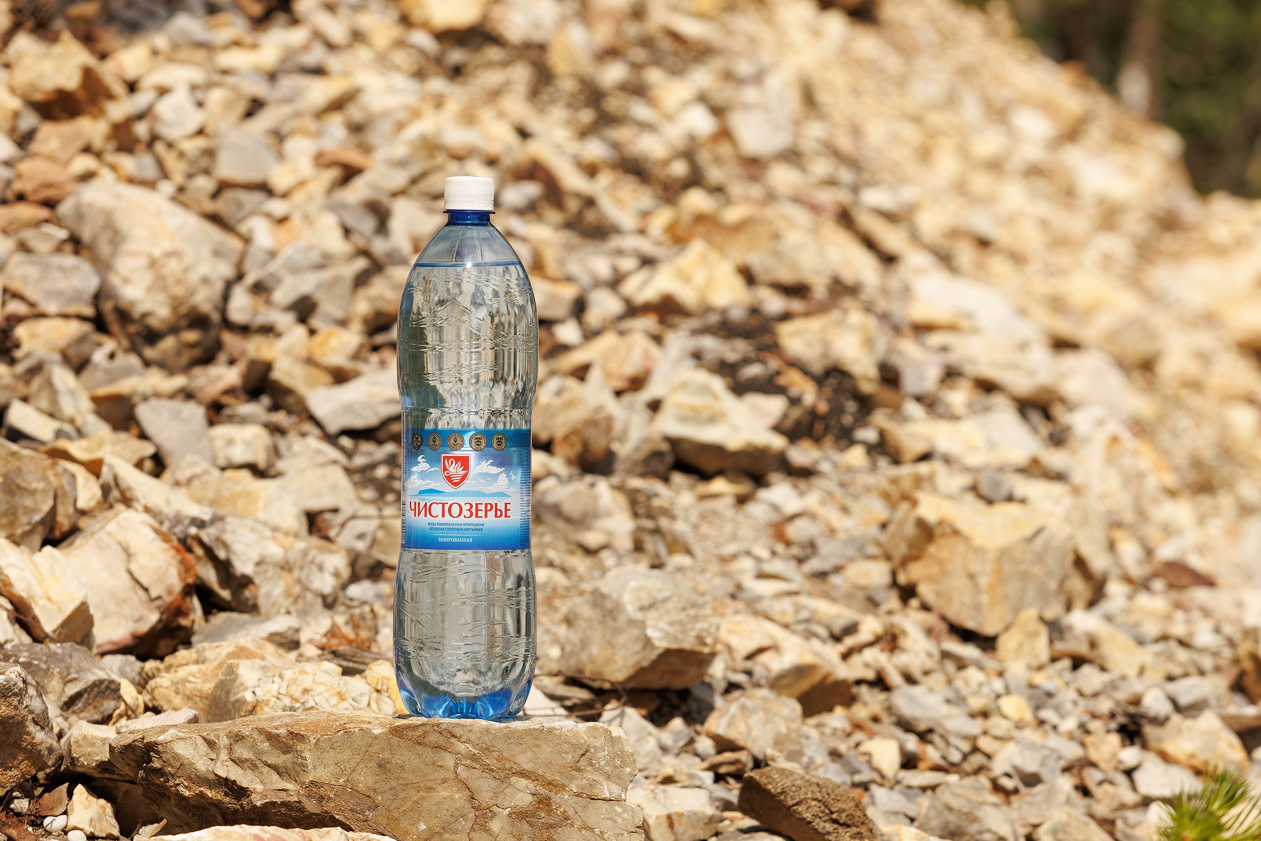 Чистозерье. Профессиональный фотограф в Новосибирске