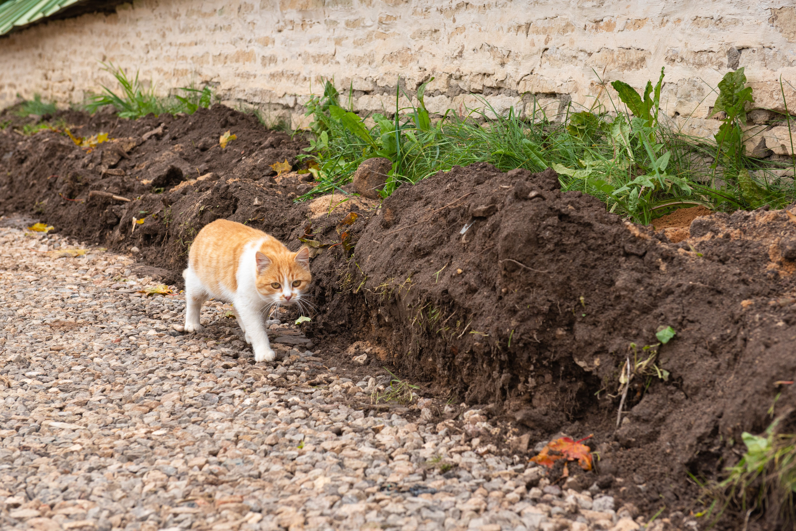 Изборск. Портретный и архитектурный фотограф в Москве и Санкт-Петербурге