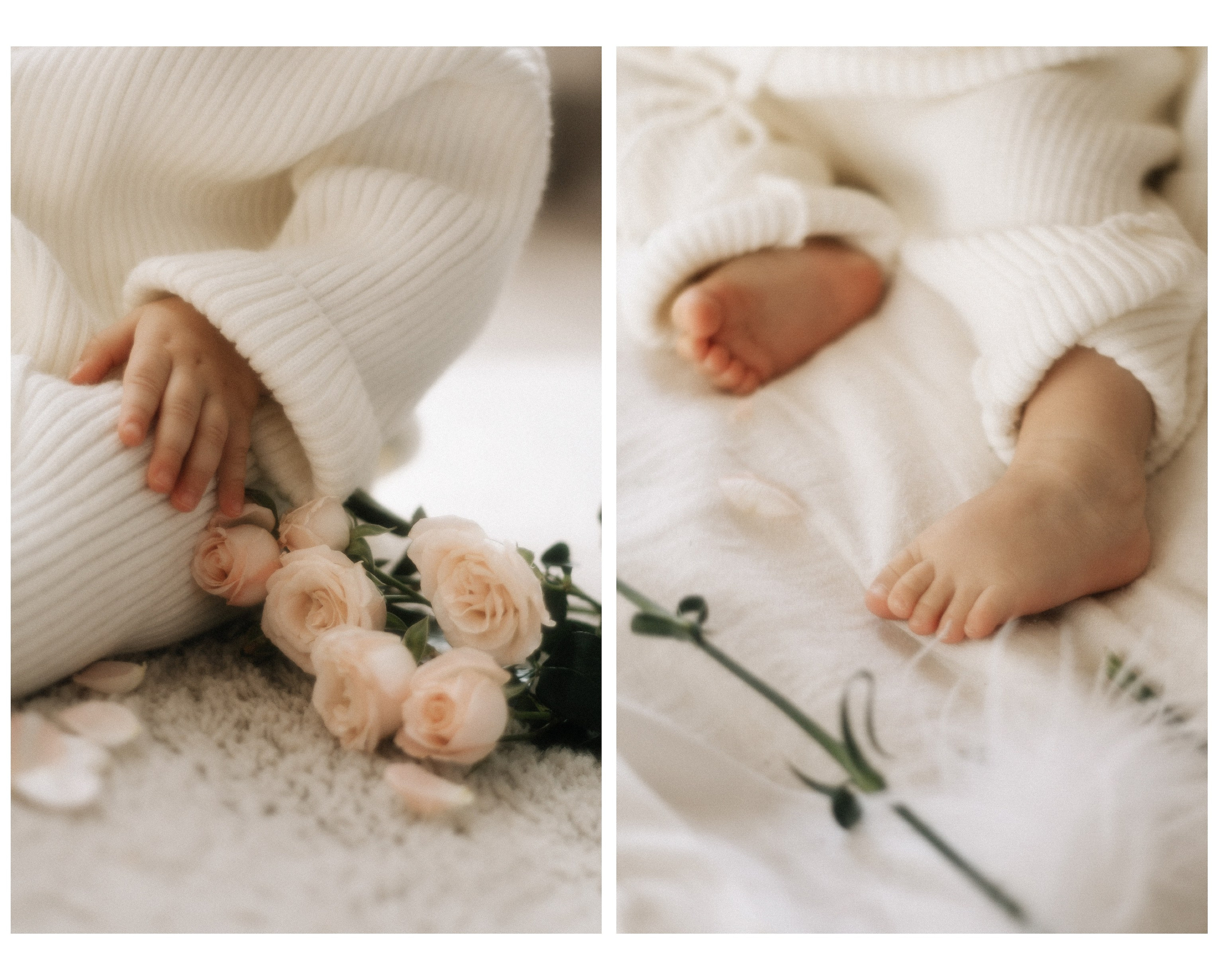 Маленькая София в цветах и лучах декабрьского солнышка. Фотограф в Крыму | Виктория Нотевская